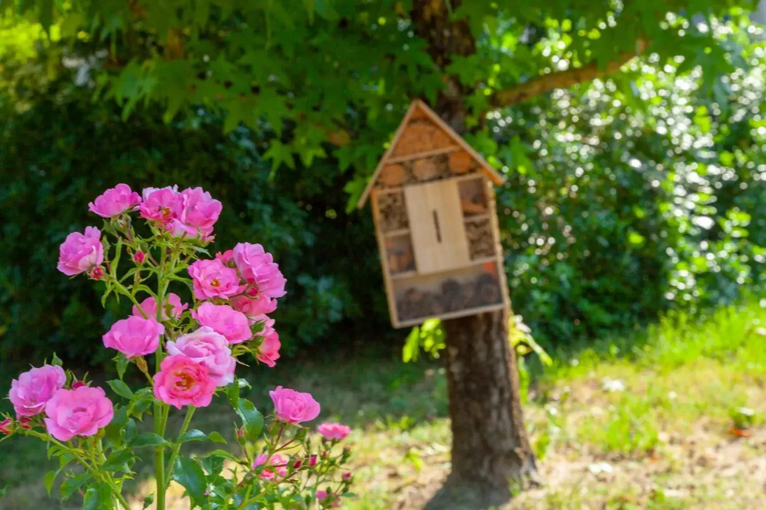 Garden in Le Moulin