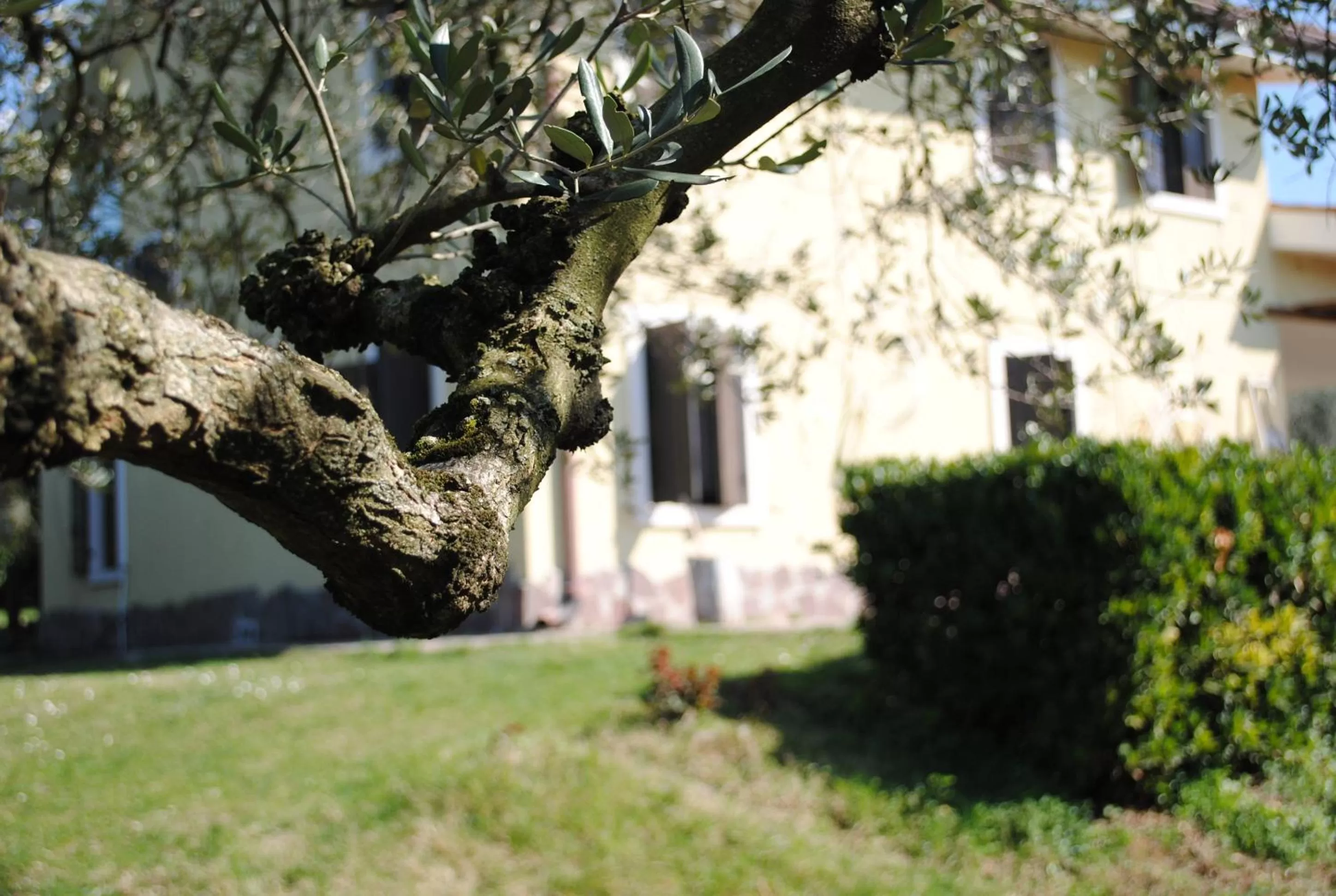 Facade/entrance in AGRITURISMO MELOGRANO D'ORO