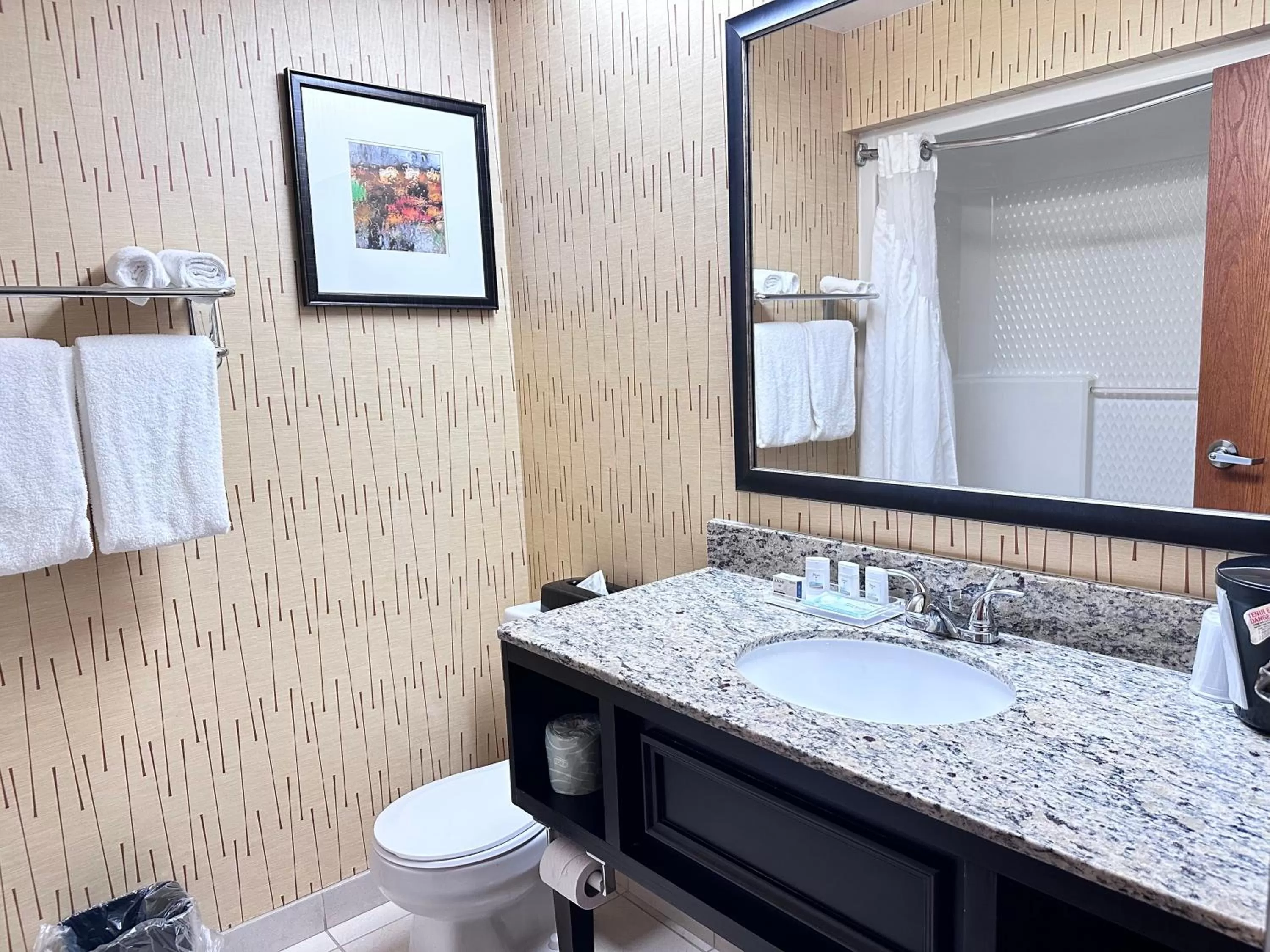 Standard Queen Room with Two Queen Beds in Holiday Inn Express Big Rapids, an IHG Hotel
