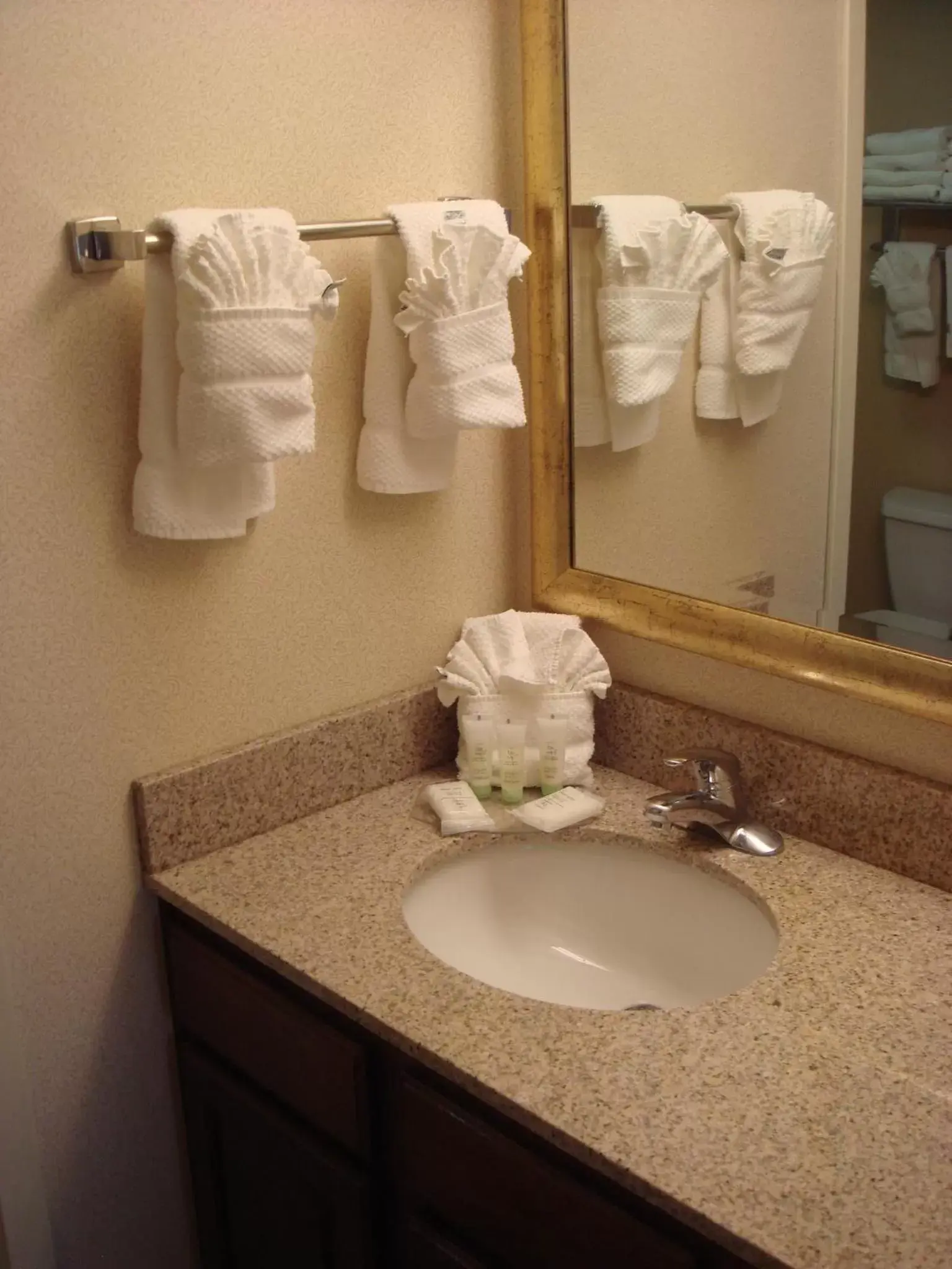 Bathroom in Staybridge Suites Indianapolis-Airport, an IHG Hotel