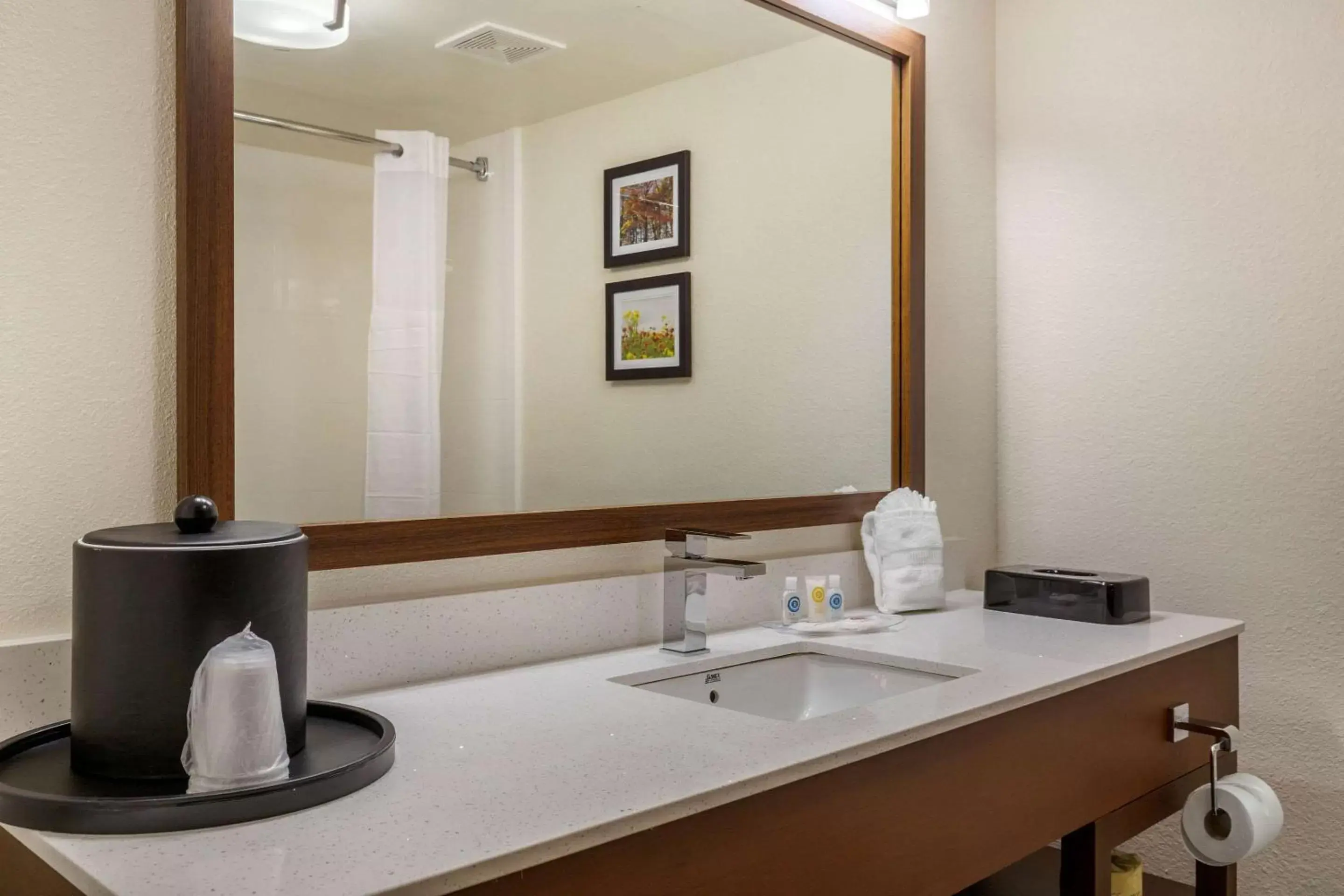 Photo of the whole room, Bathroom in Comfort Suites Hanes Mall