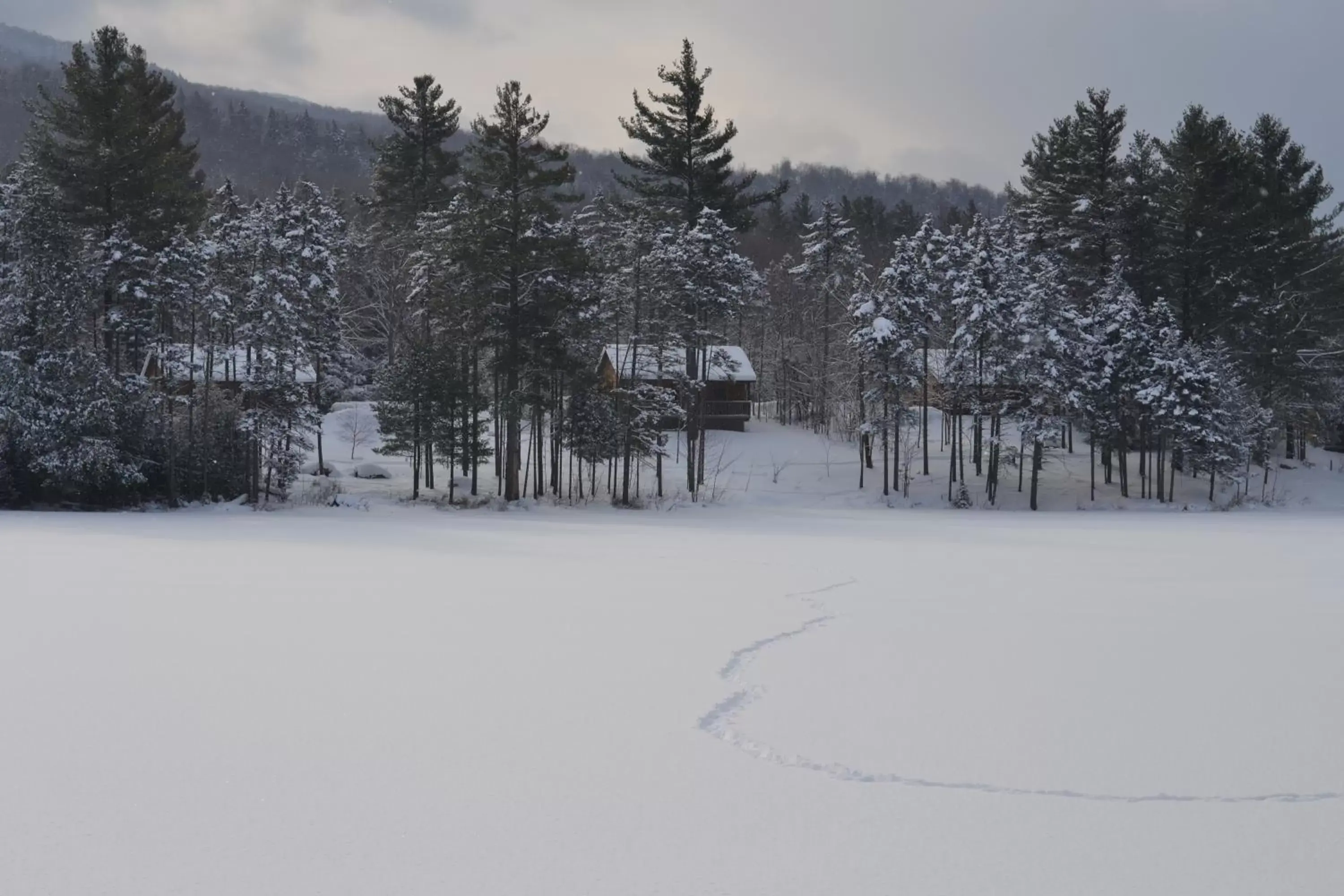 Winter in Sterling Ridge Resort