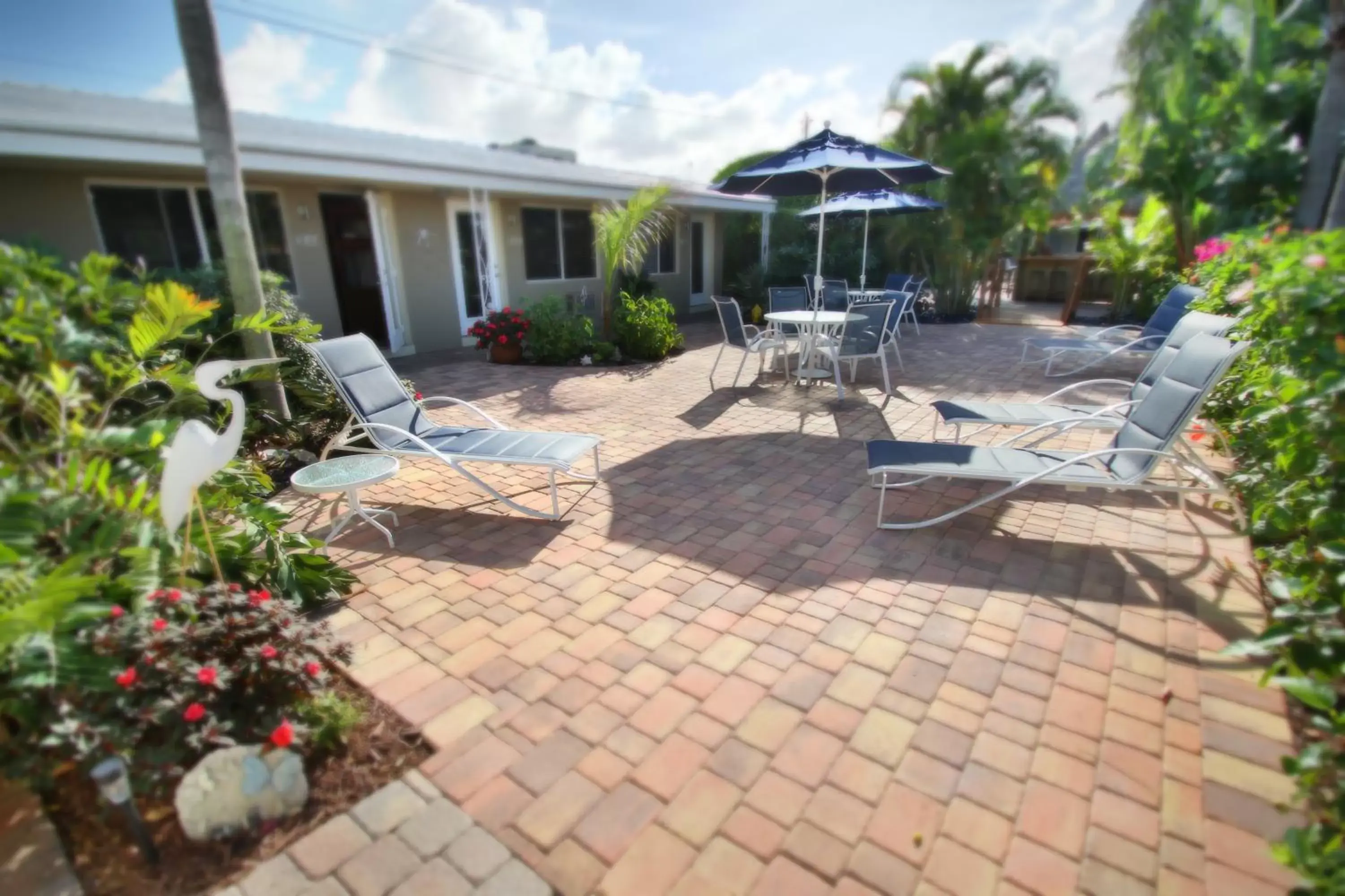 Garden, Patio/Outdoor Area in Casitas Coral Ridge