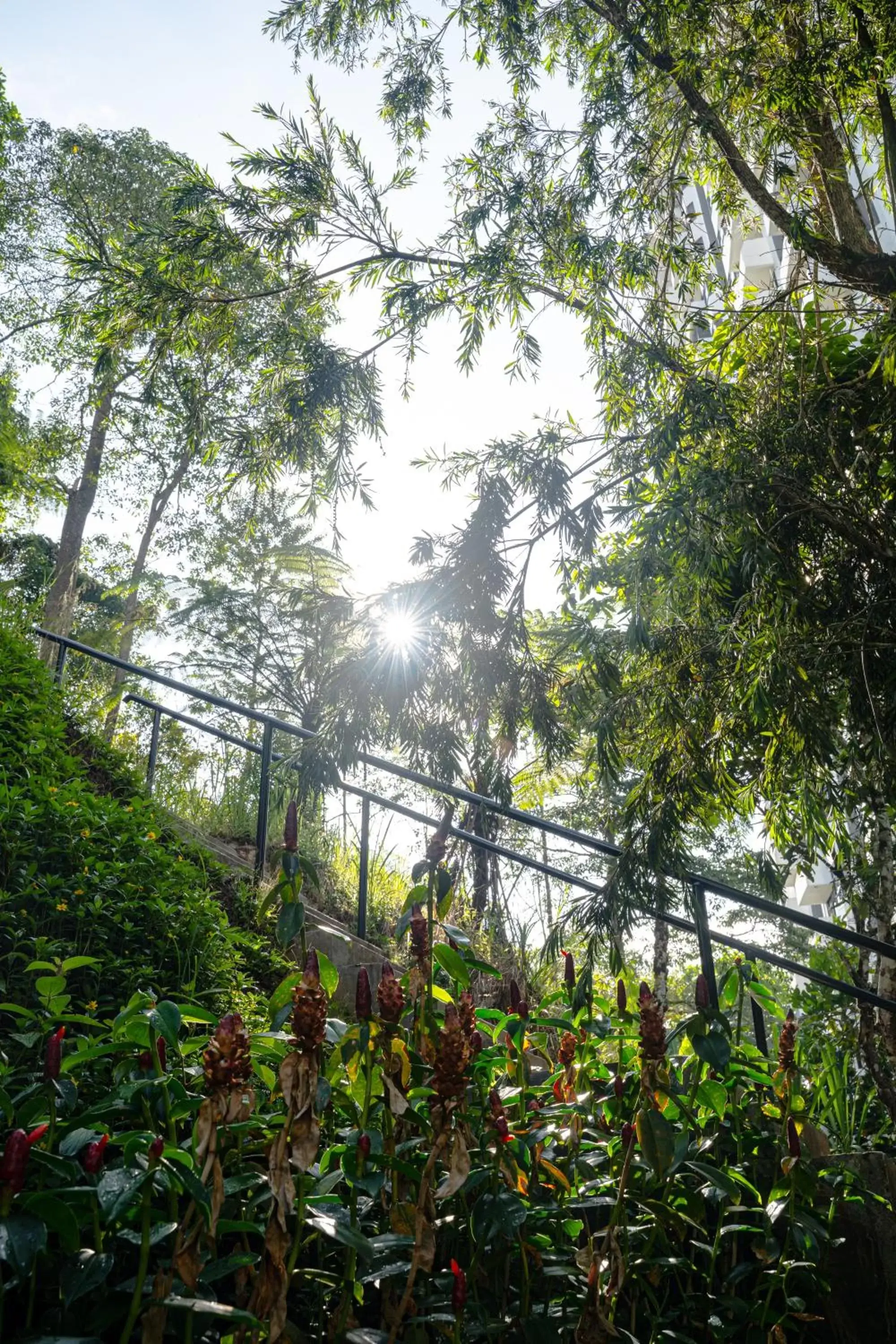 Natural landscape in Genting View Resort