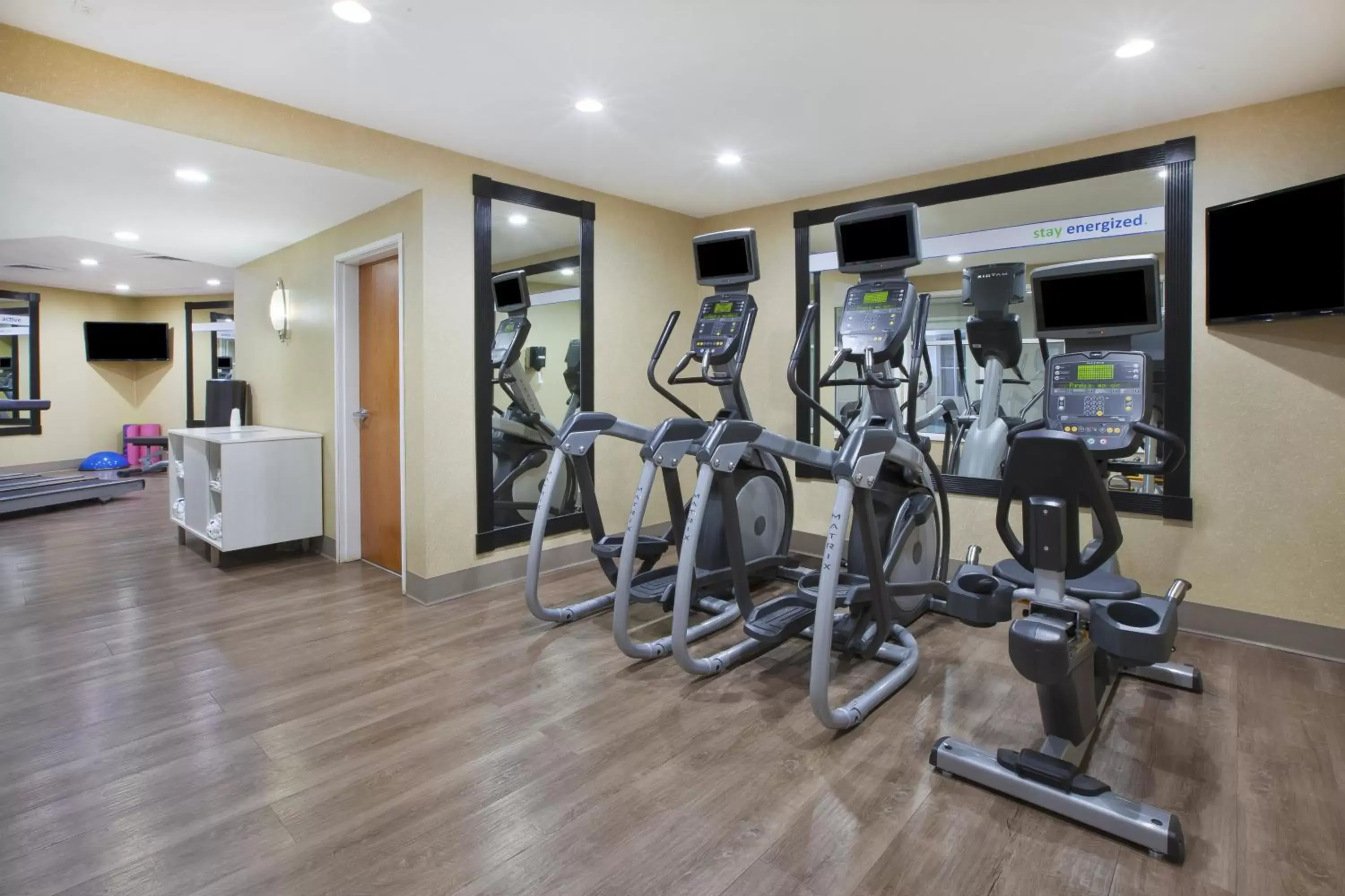 Fitness centre/facilities, Fitness Center/Facilities in Holiday Inn Express Hotel & Suites Auburn Hills, an IHG Hotel