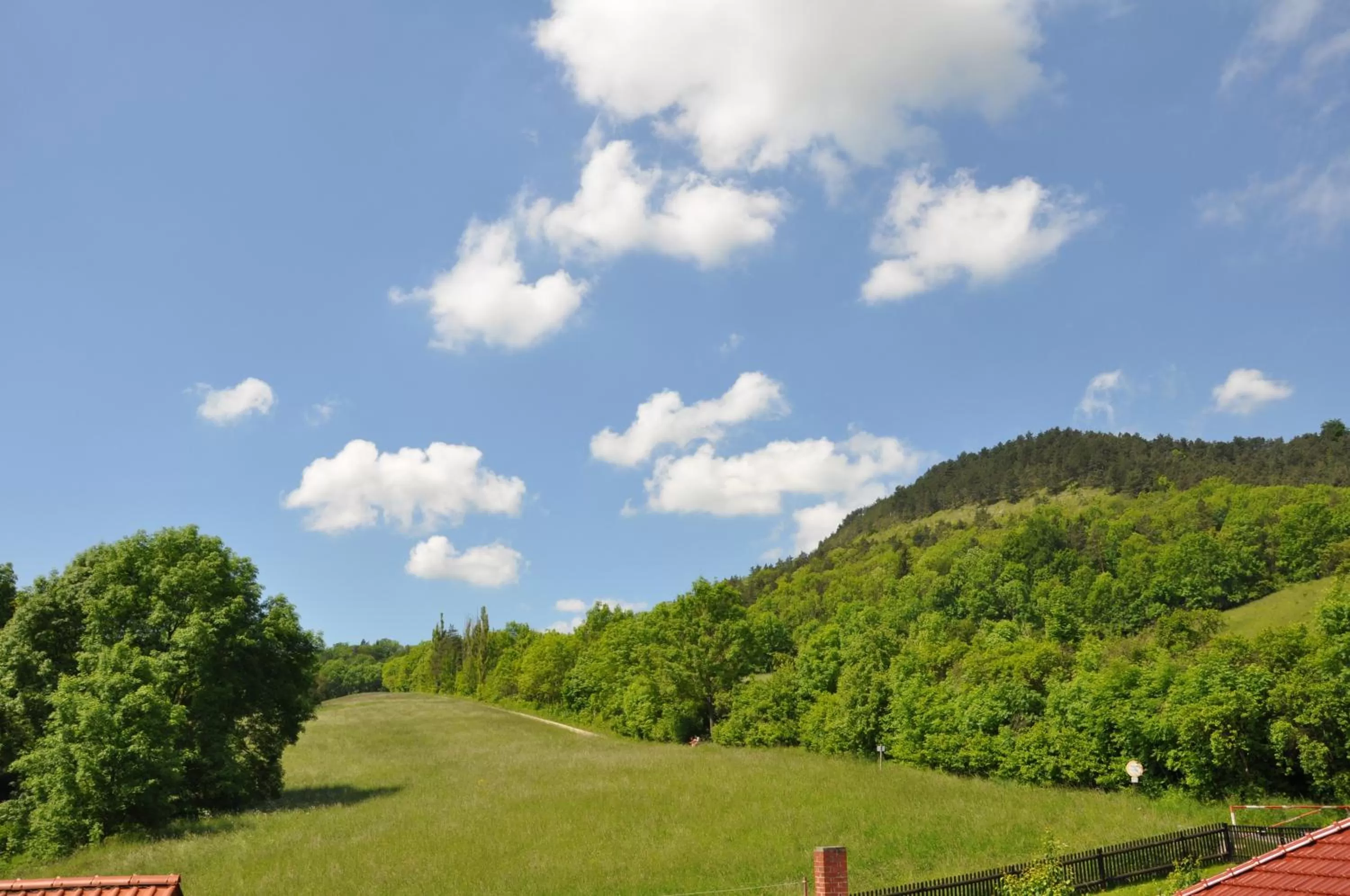 Natural landscape in Hotel Haus Orchideental Jena