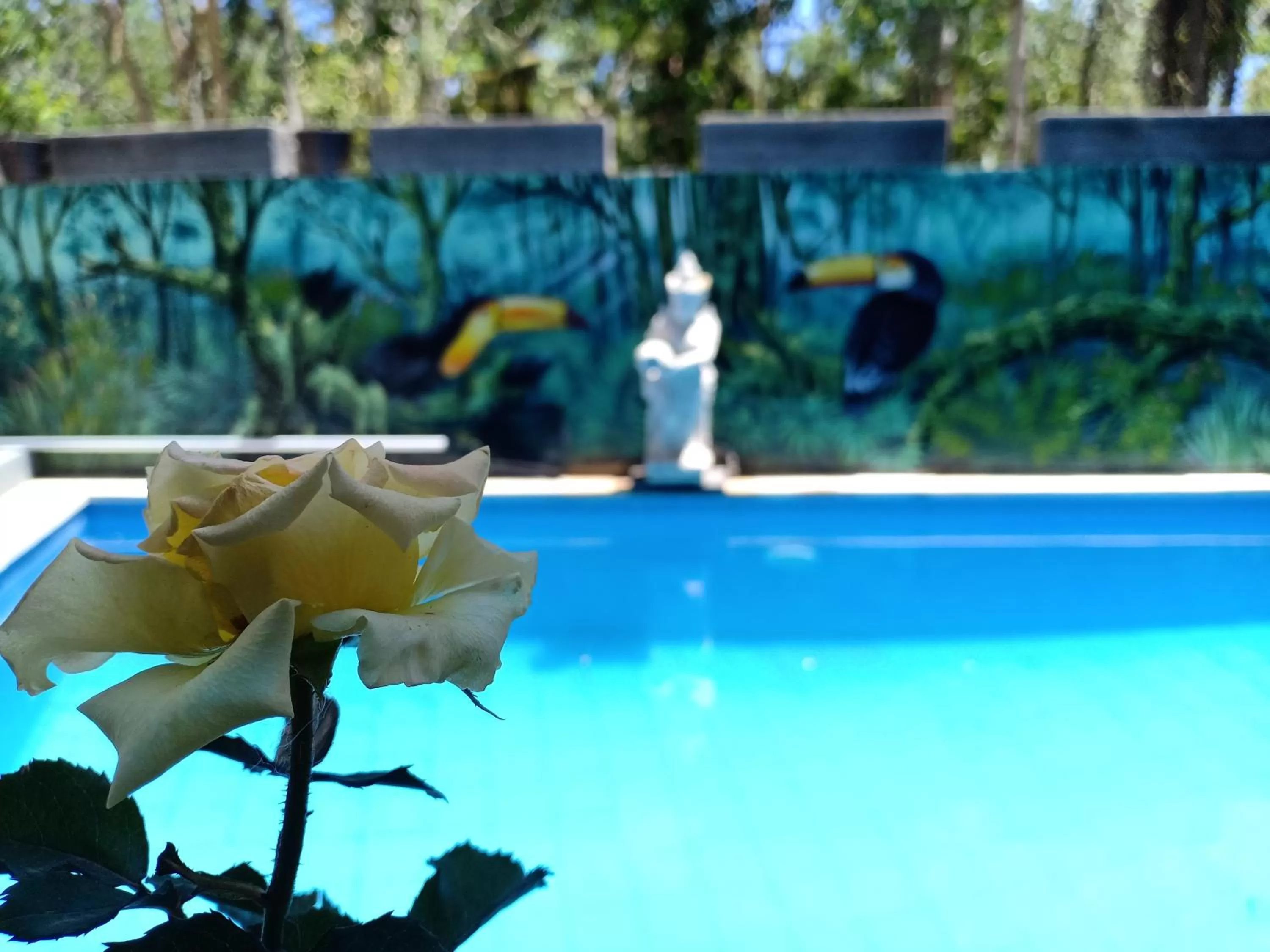 Swimming pool in The Puncak Santhi Inn
