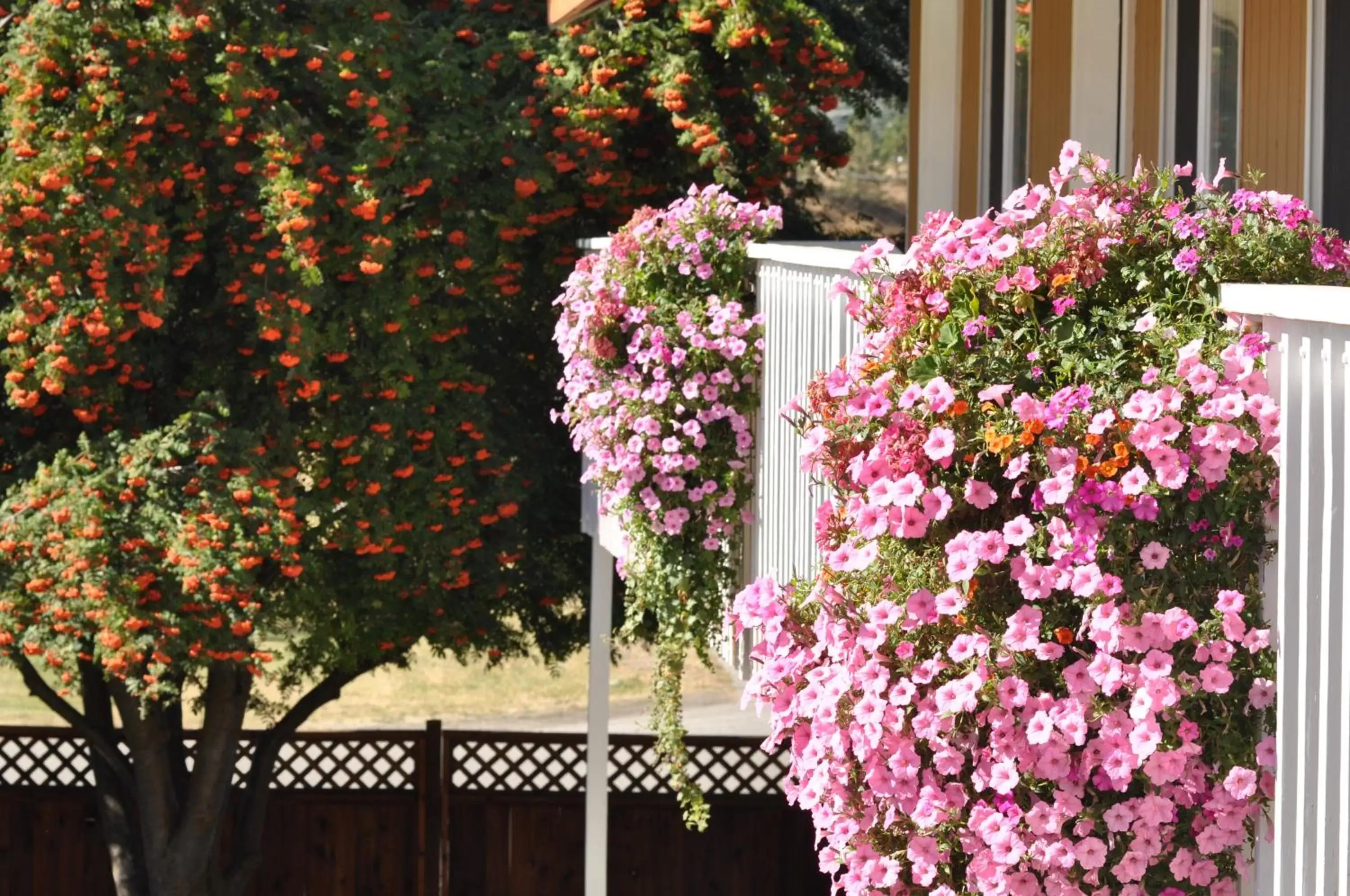 Natural landscape in Western Traveller Motel