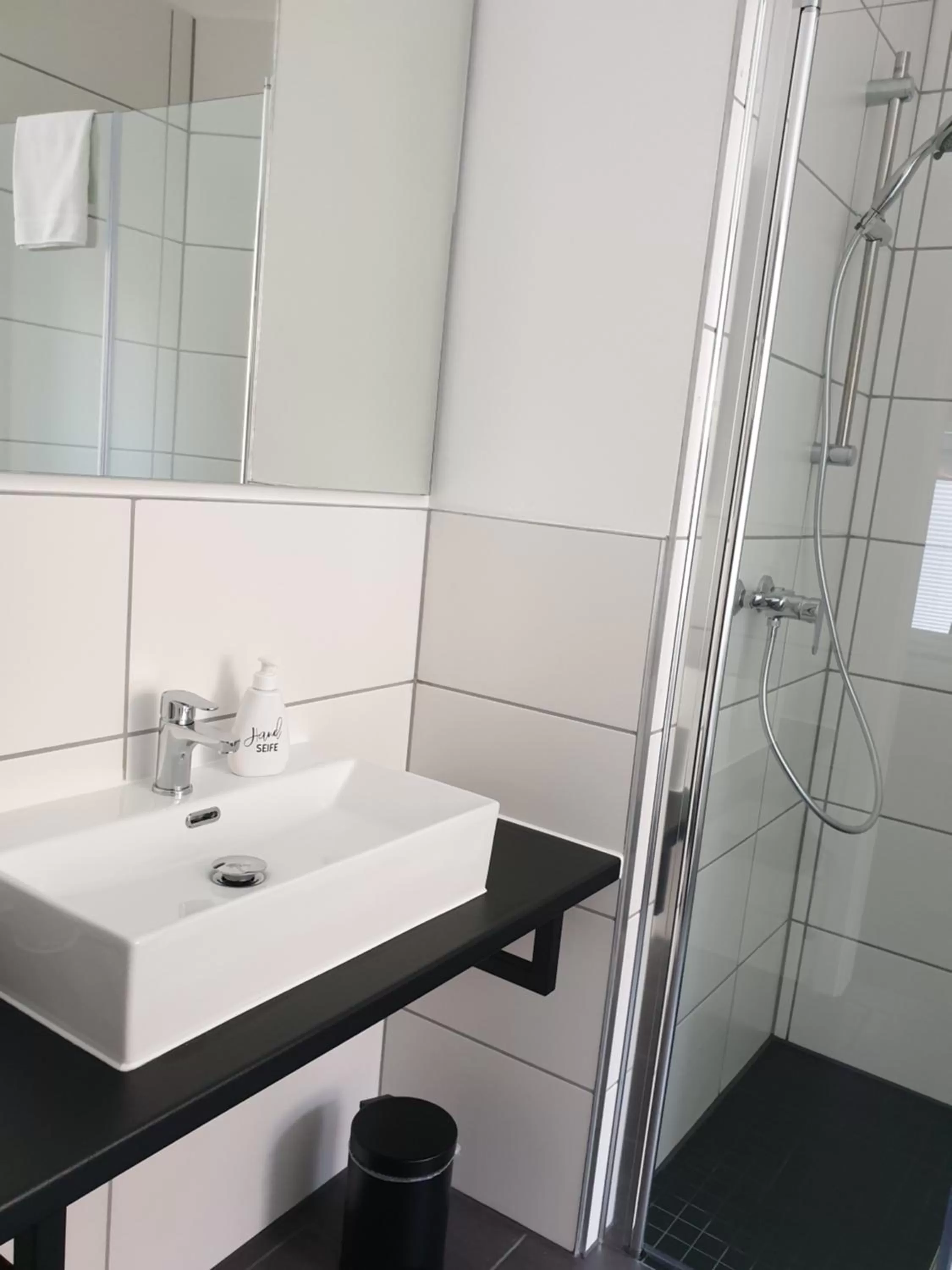 Bathroom in Hotel Apartment Ferienwohnung Meyenhof Frankenberg Eder