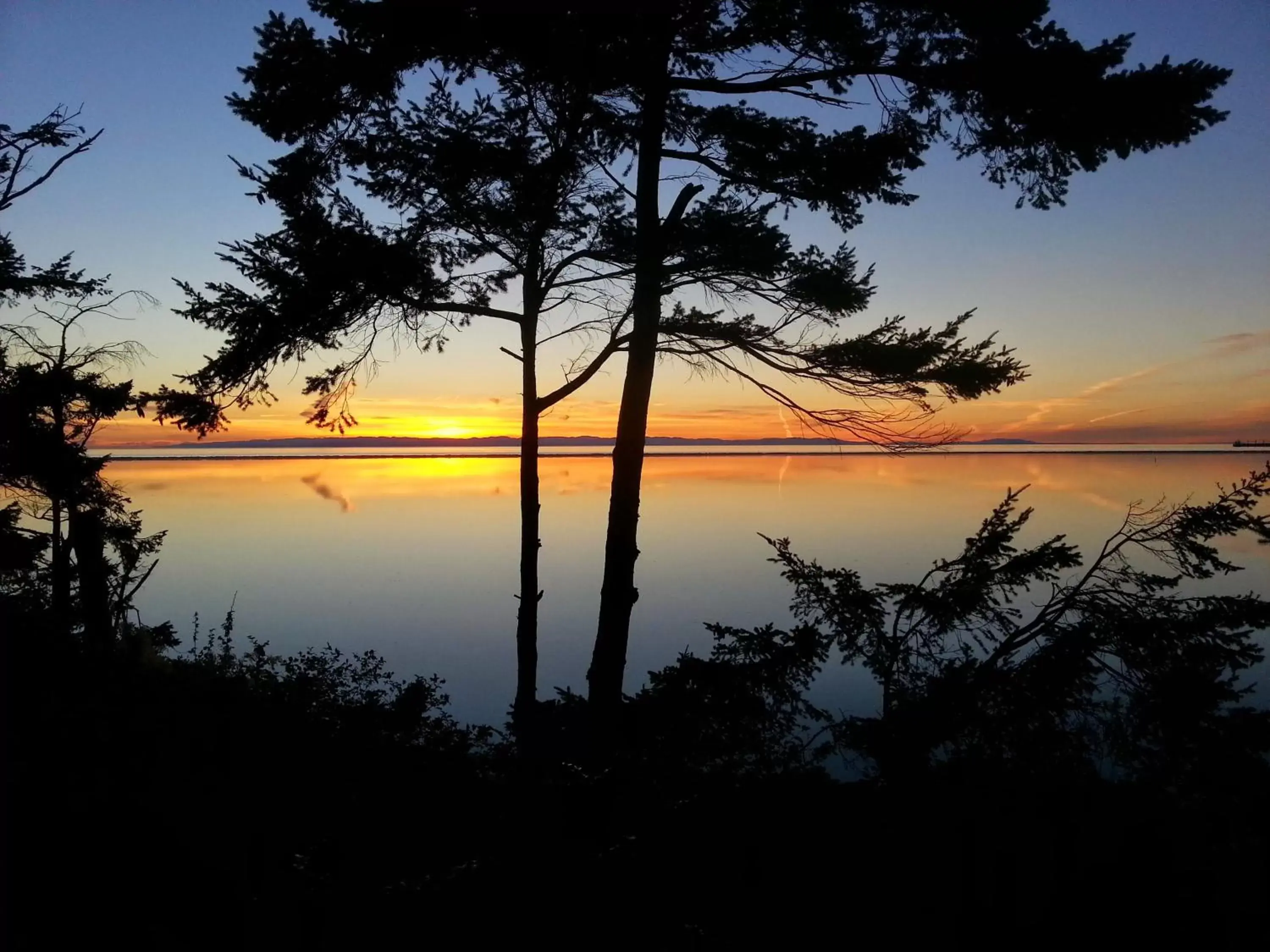 Sea view, Sunrise/Sunset in Greenhouse Inn by the Bay