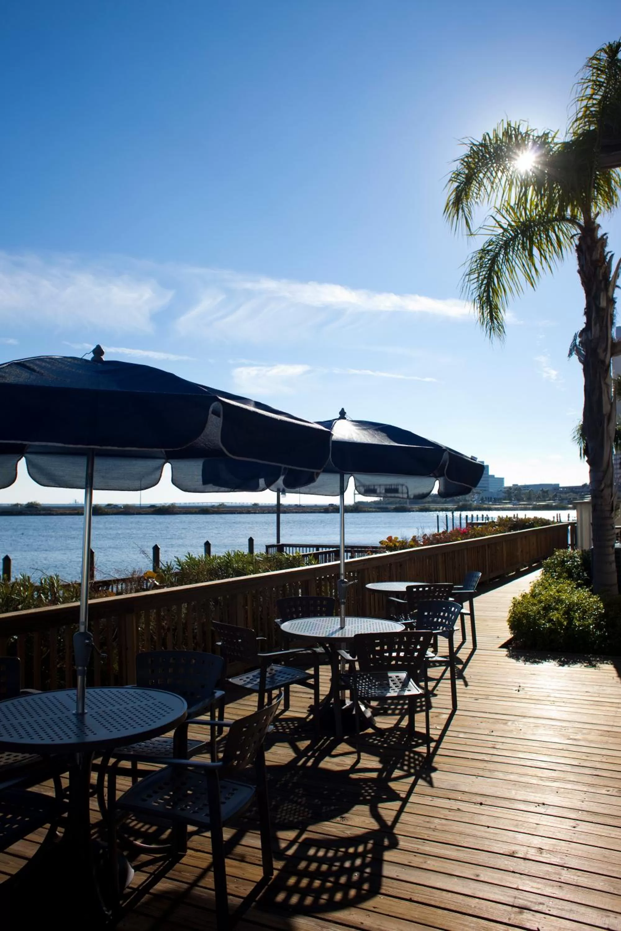 Sea view in Chase Suite Hotel Rocky Point Tampa