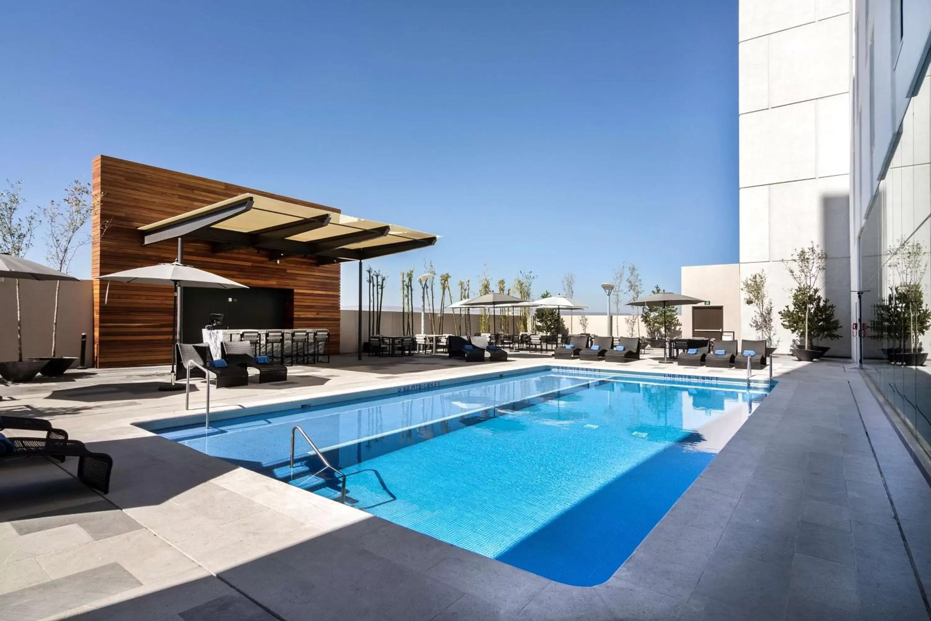 Swimming Pool in Hilton Garden Inn Aguascalientes