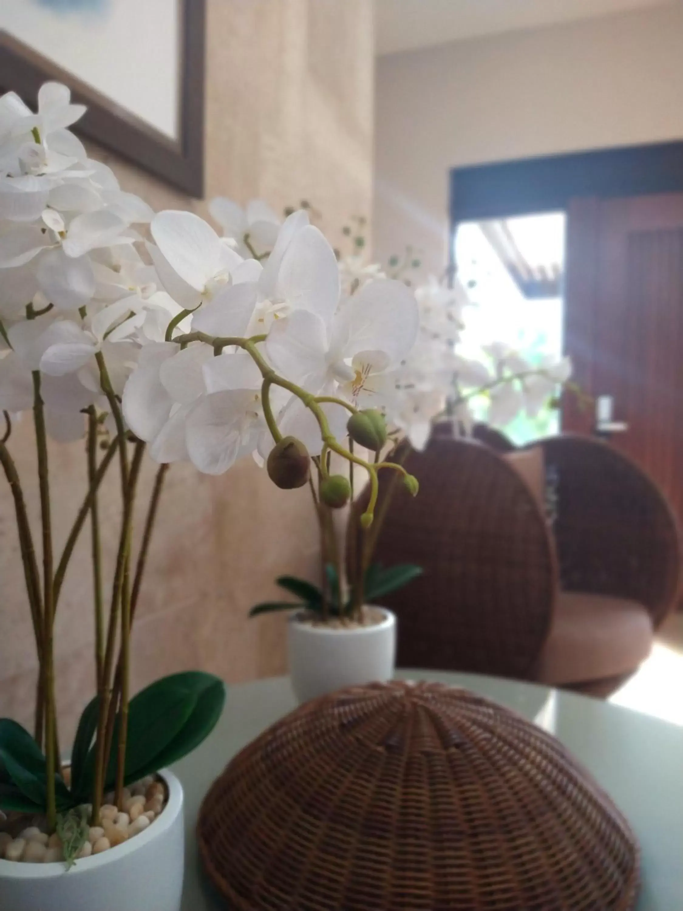 Lobby or reception in Xaha Villas Suites & Golf Resort
