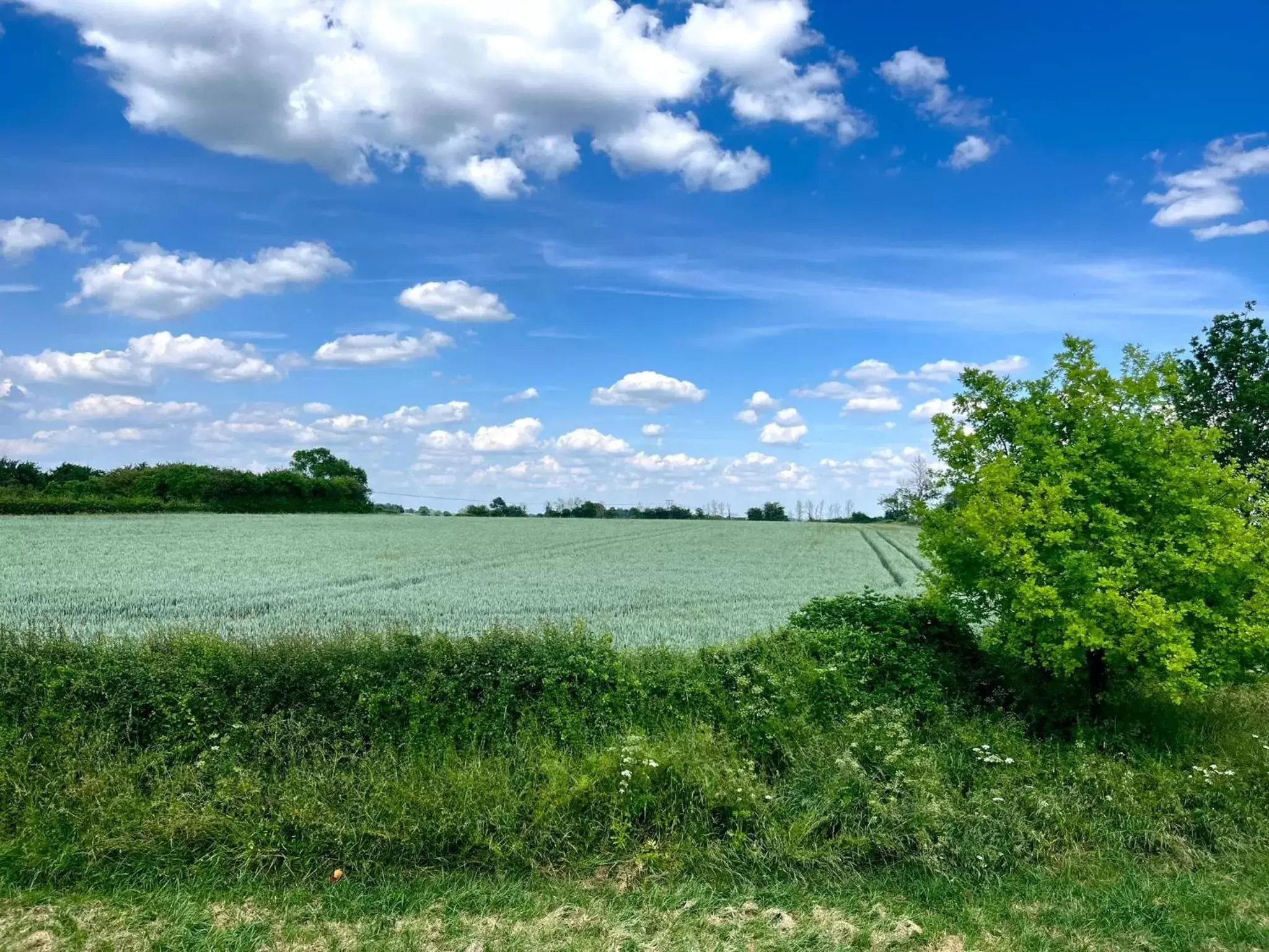 Natural Landscape in The Blue Boar