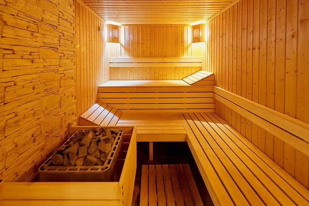 Sauna in Penelopa Palace Apart Hotel & SPA