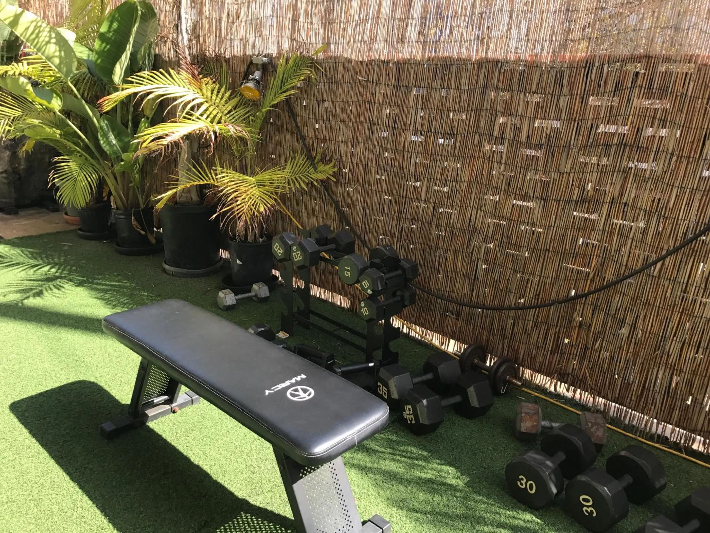 Area and facilities in Banana Bungalow West Hollywood Hotel & Hostel