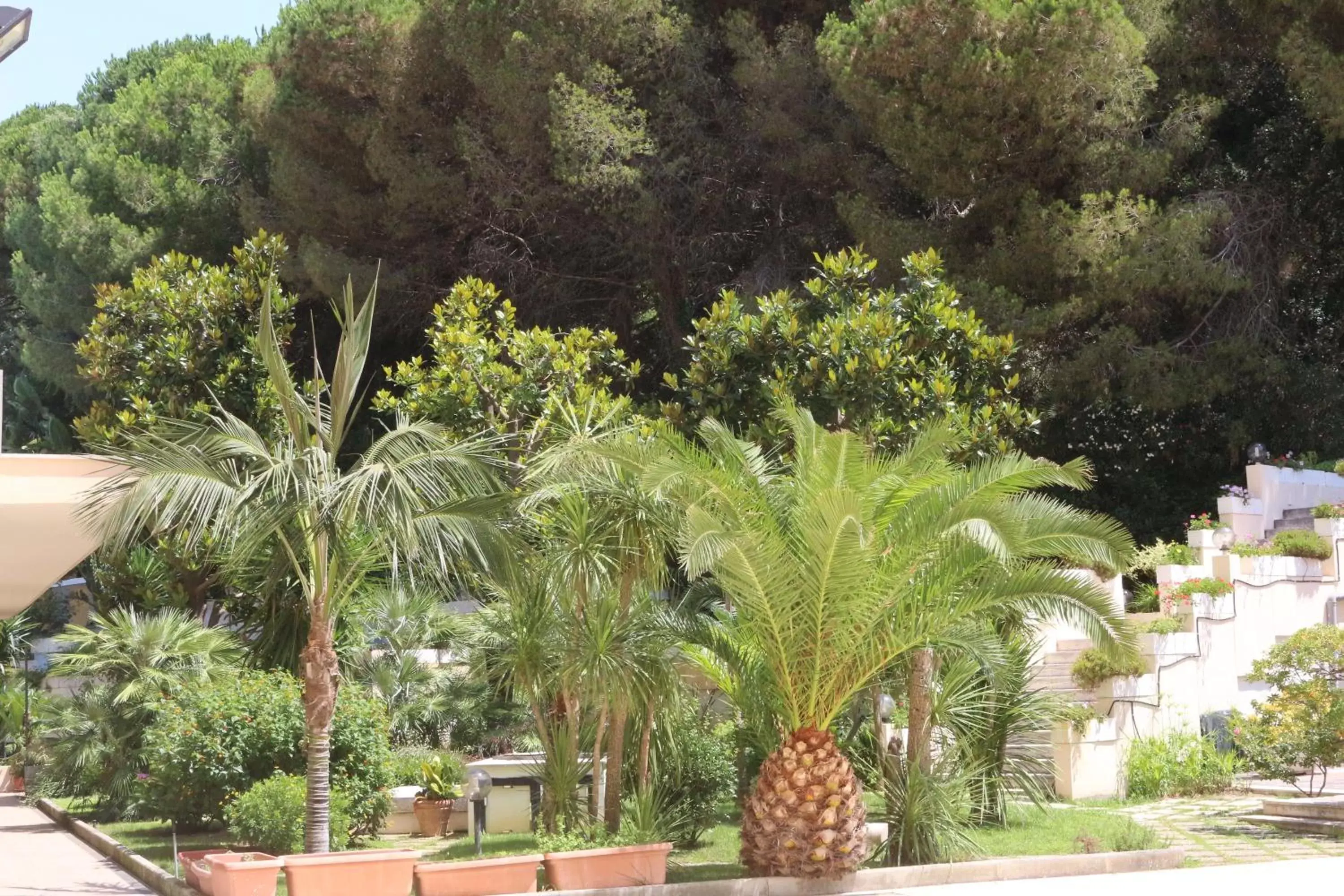 Garden in Hotel Mirasole International