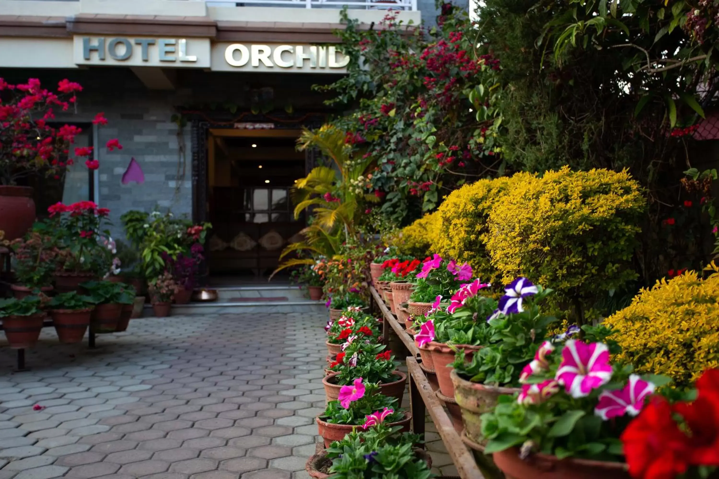 Facade/entrance in Hotel Orchid
