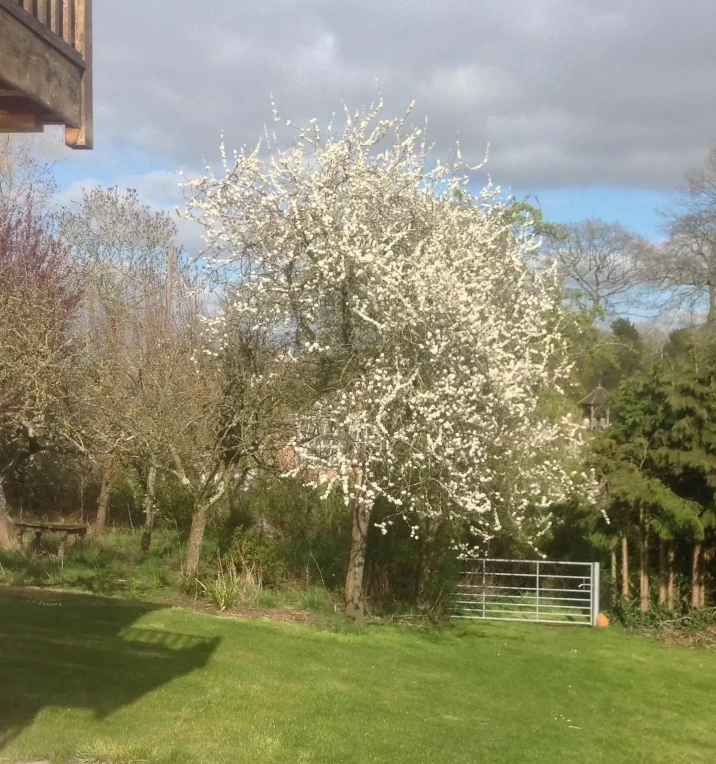 Spring, Garden in Shakespeare's View