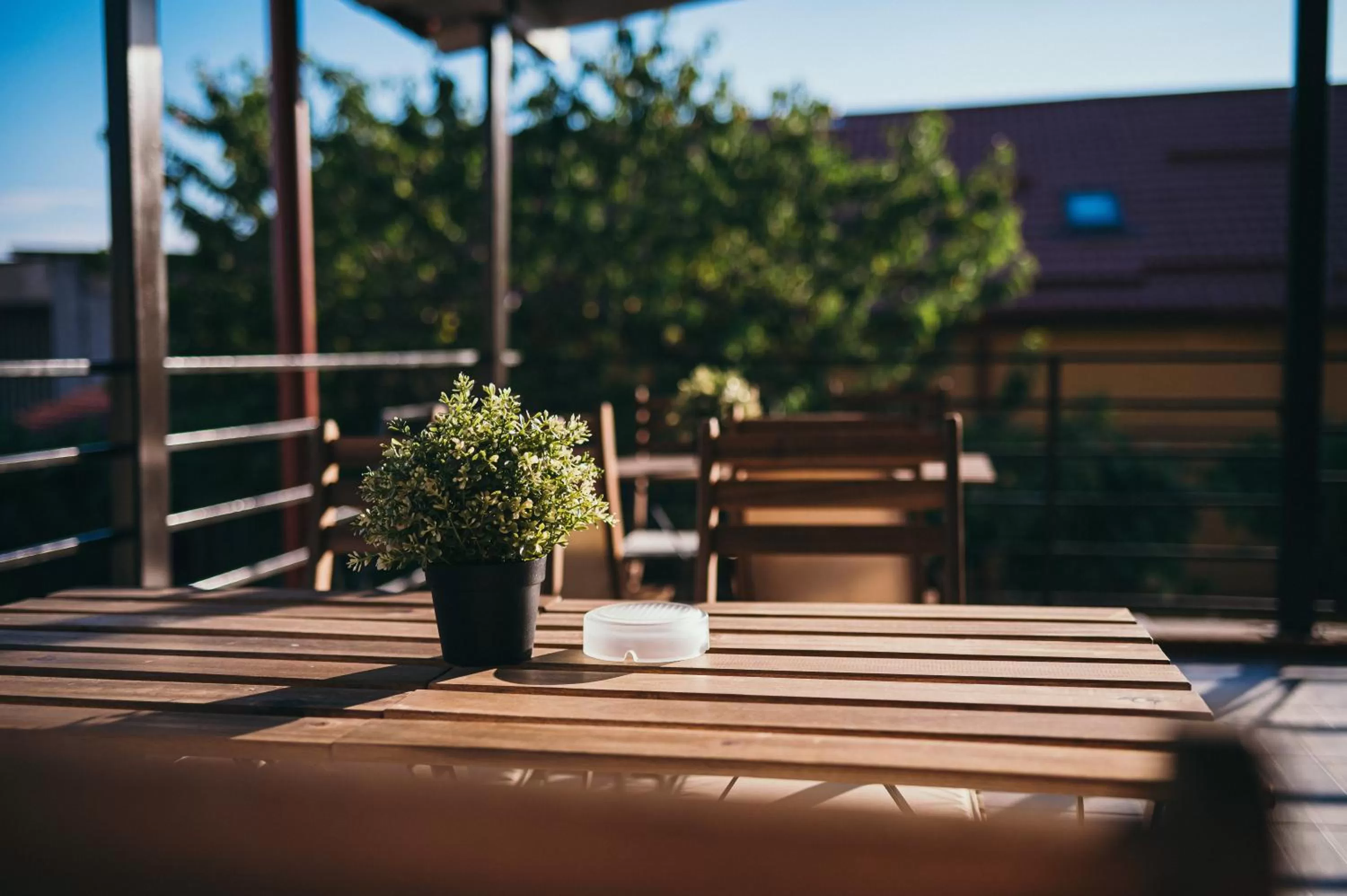 Balcony/Terrace in Nest Guesthouse