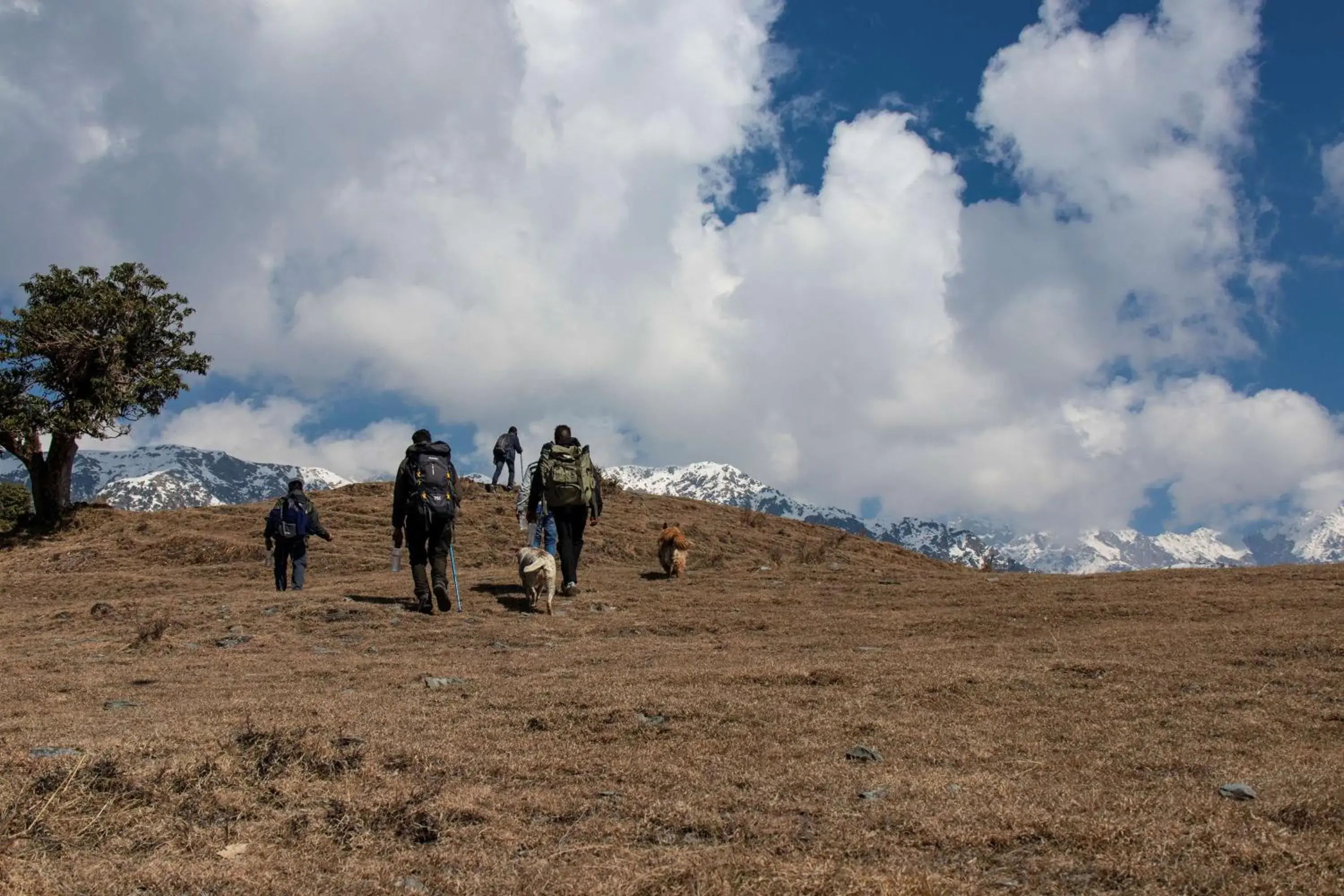 Nearby landmark, Other Animals in Rakkh Resort, a member of Radisson Individuals Retreats