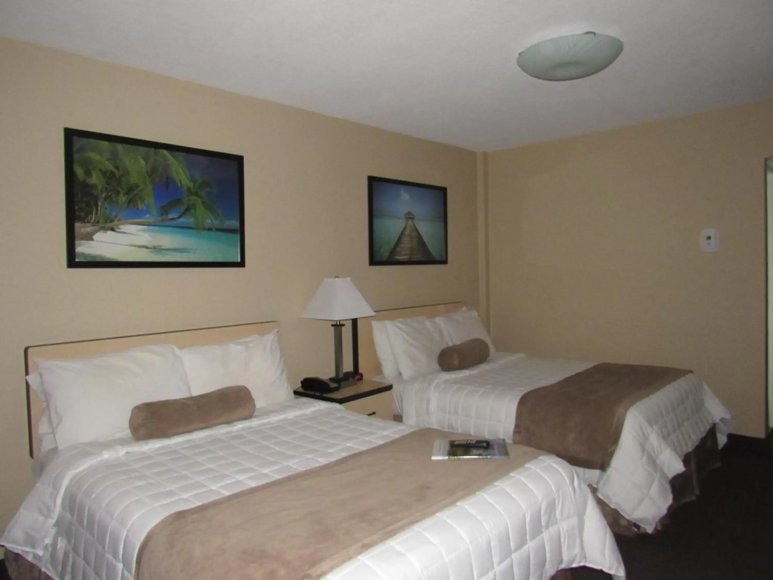 No View - Two Double Beds in Cove Motel Oceanfront