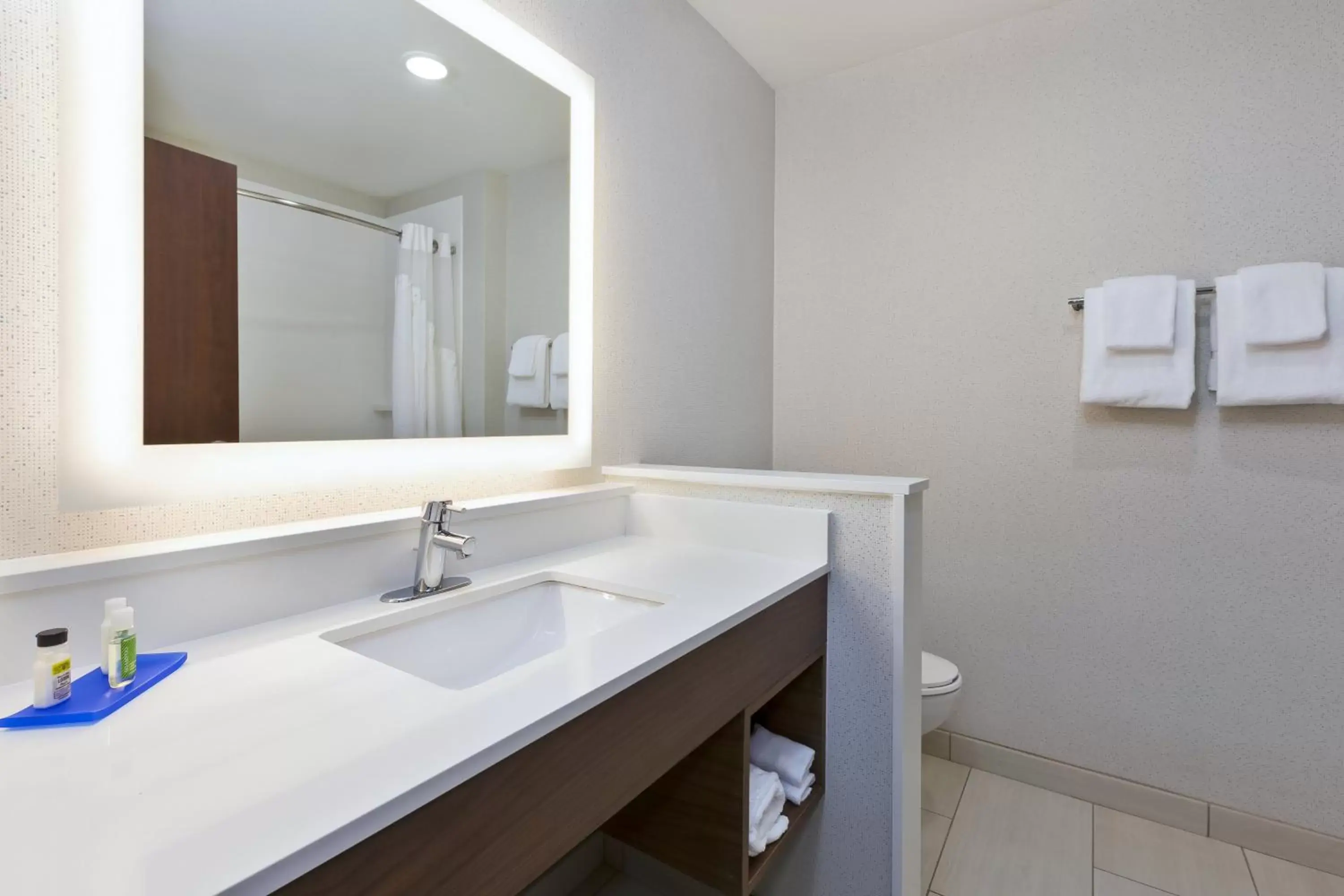 Bathroom in Holiday Inn Express & Suites - Painesville - Concord, an IHG Hotel