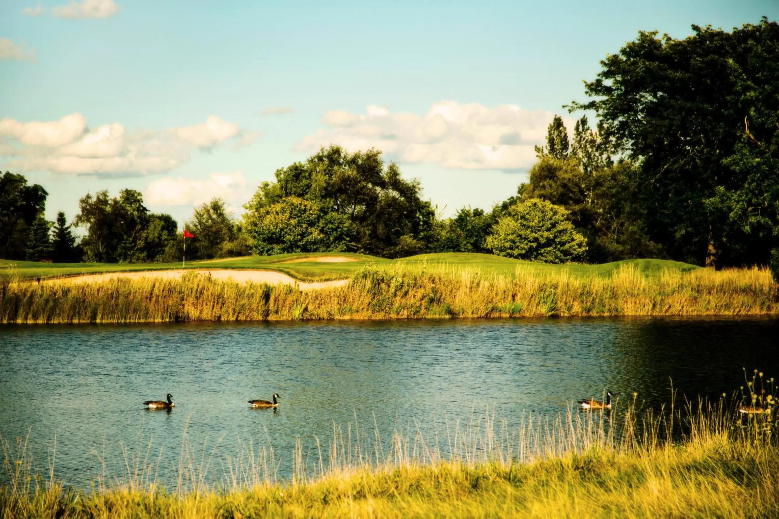 Spring, Natural Landscape in The Ridge Hotel