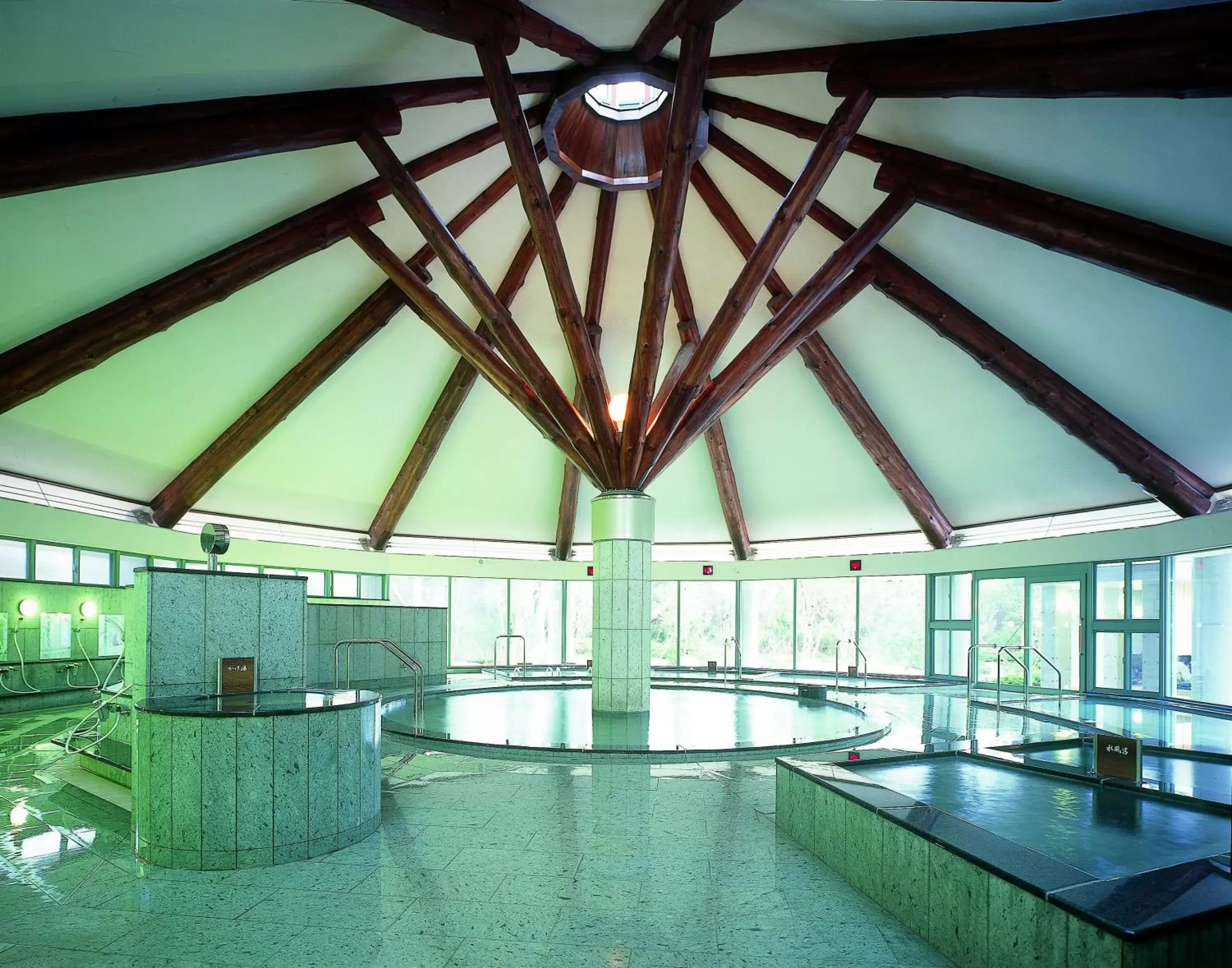 Hot Spring Bath, Swimming Pool in OU Hotel