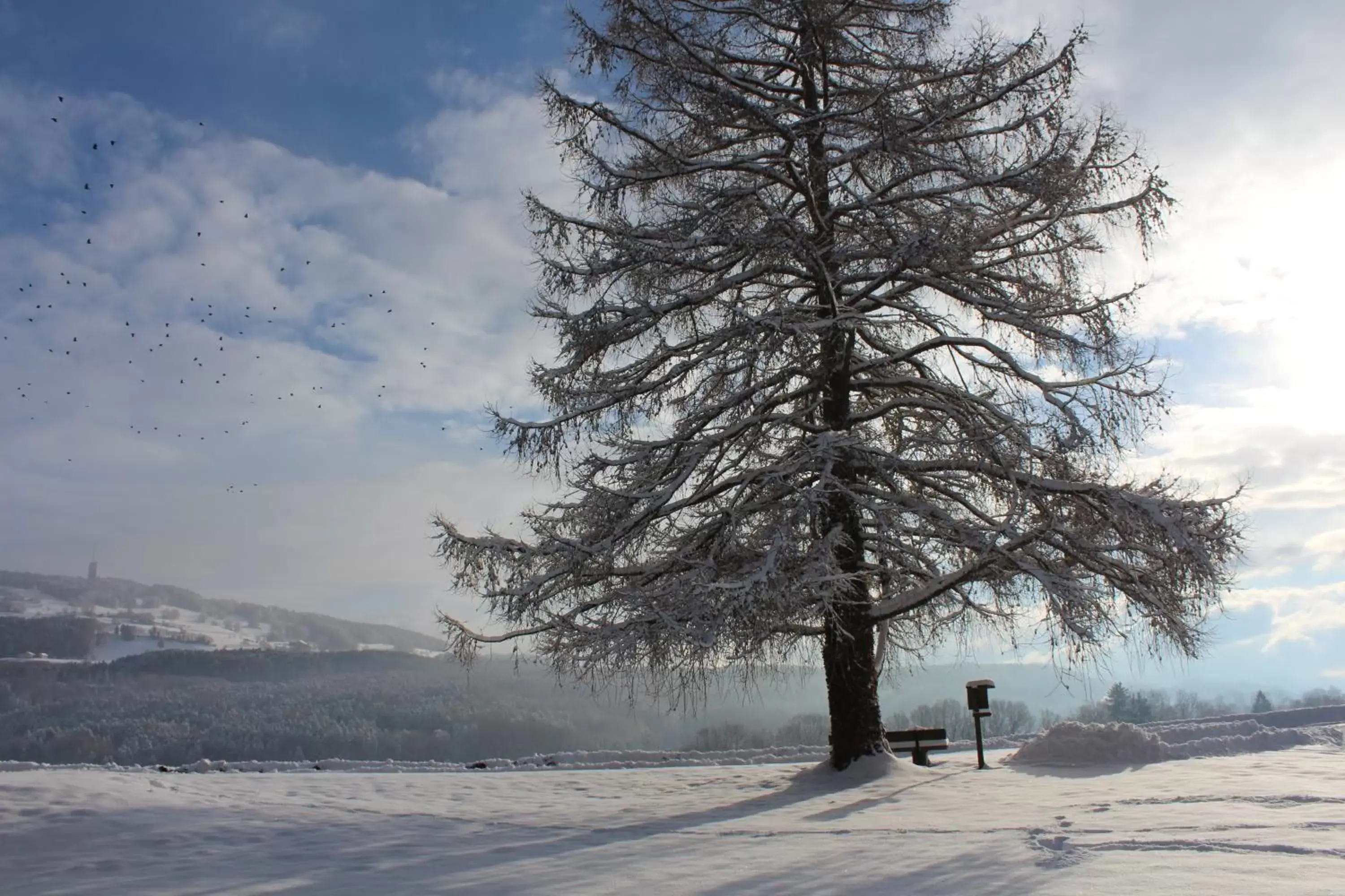 Natural landscape, Winter in Crêt-Bérard