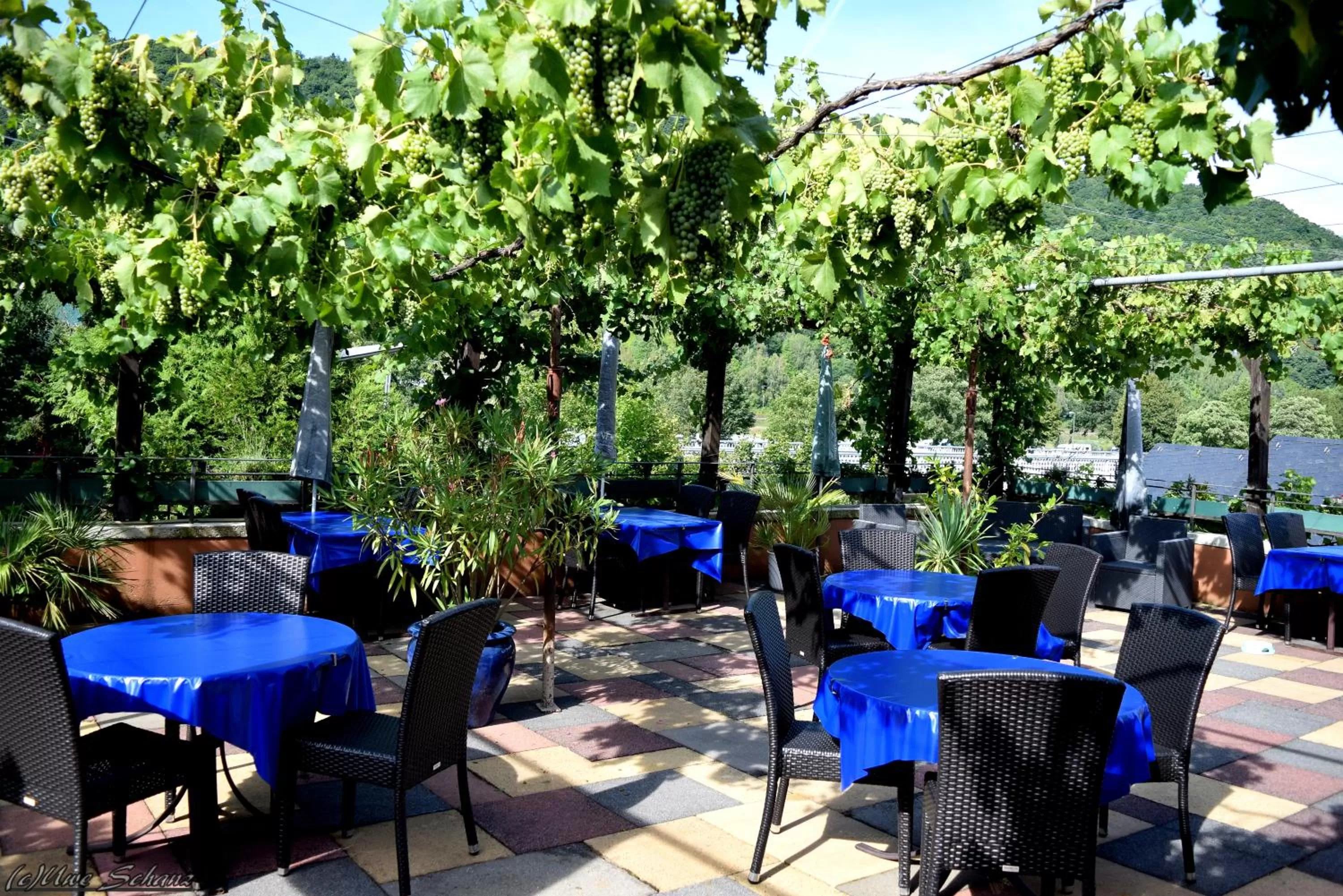Balcony/Terrace in Mosel Weinhotel Steffensberg