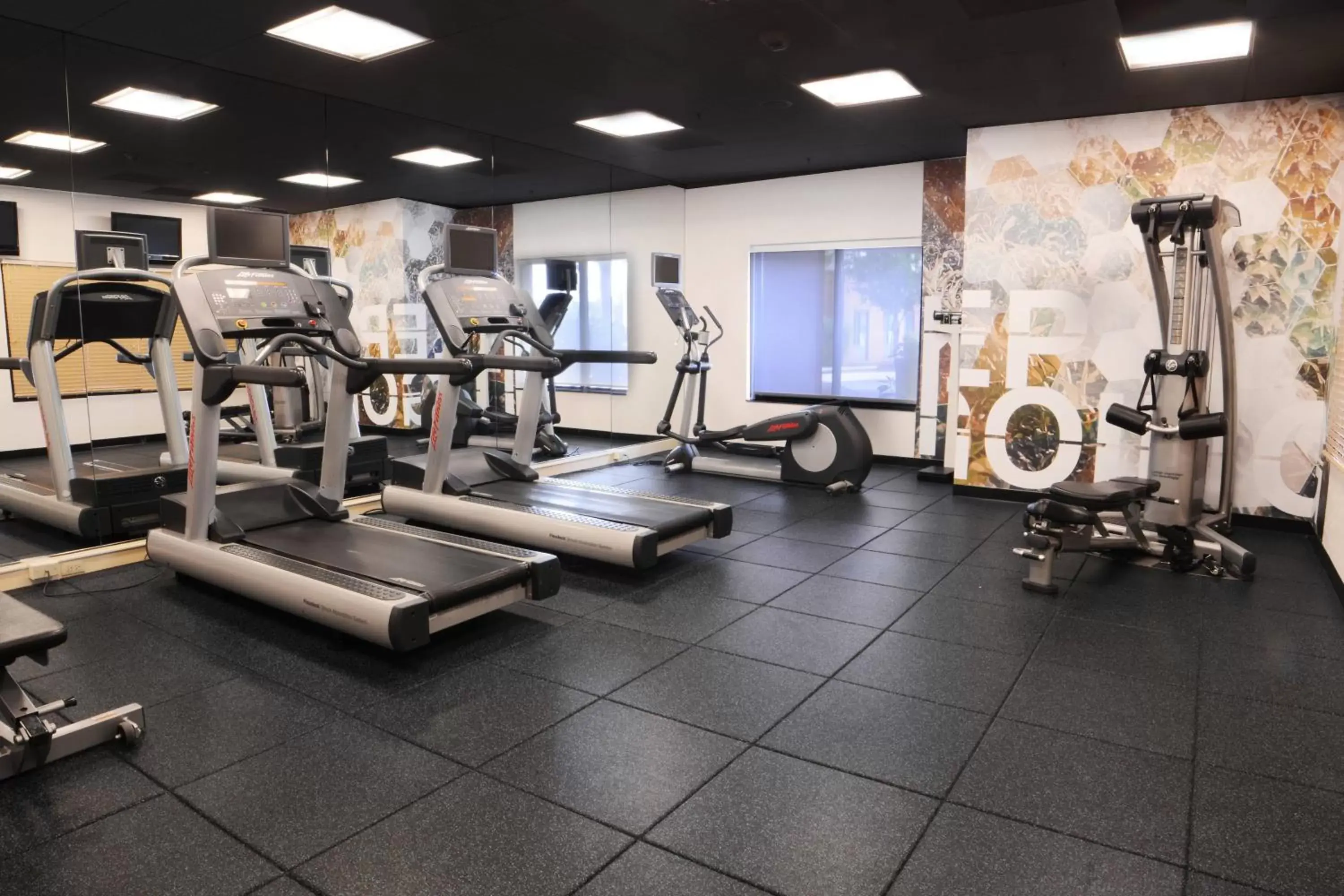 Fitness centre/facilities, Fitness Center/Facilities in SpringHill Suites Dulles Airport