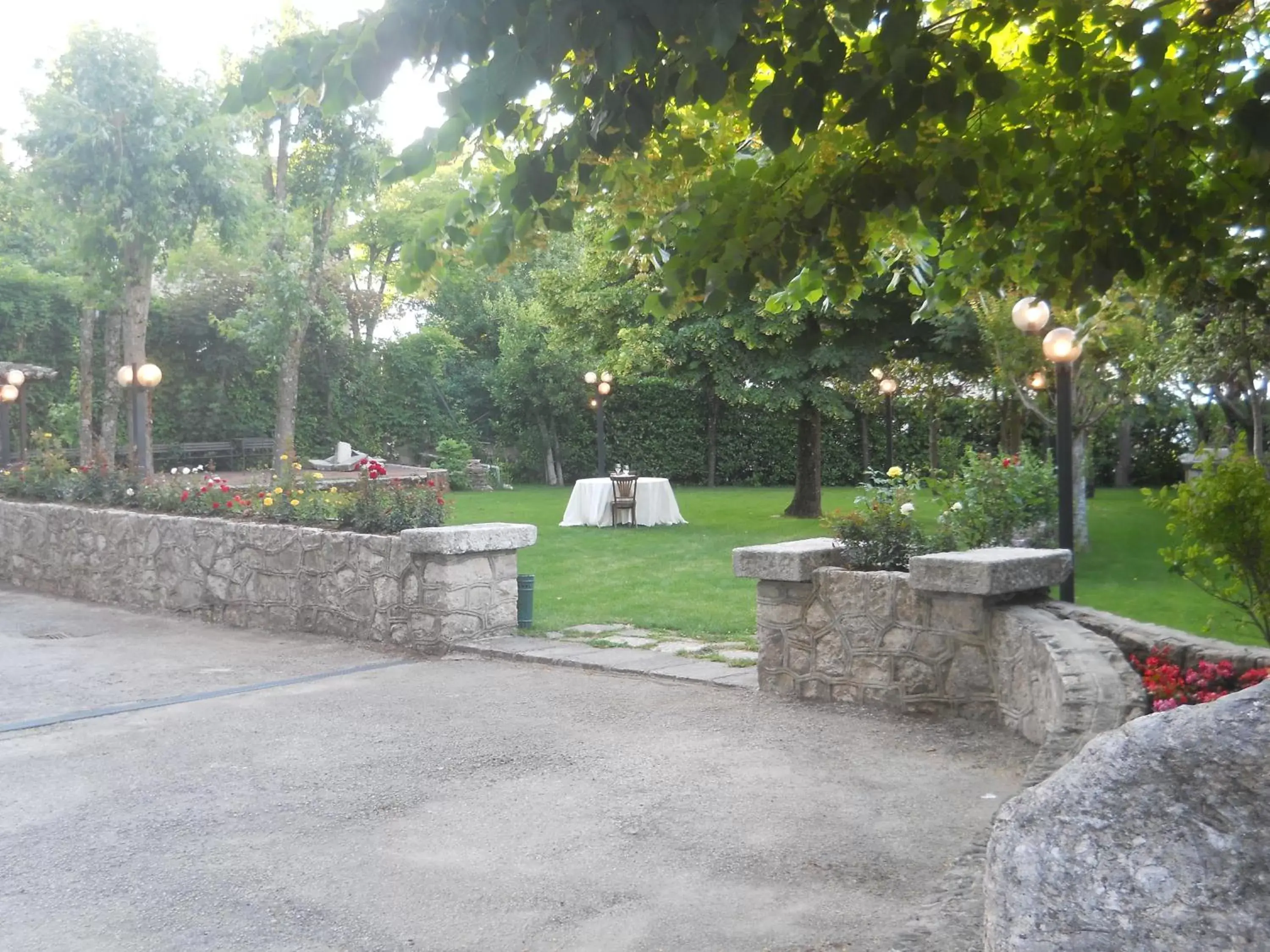 Garden in Hotel Colucci