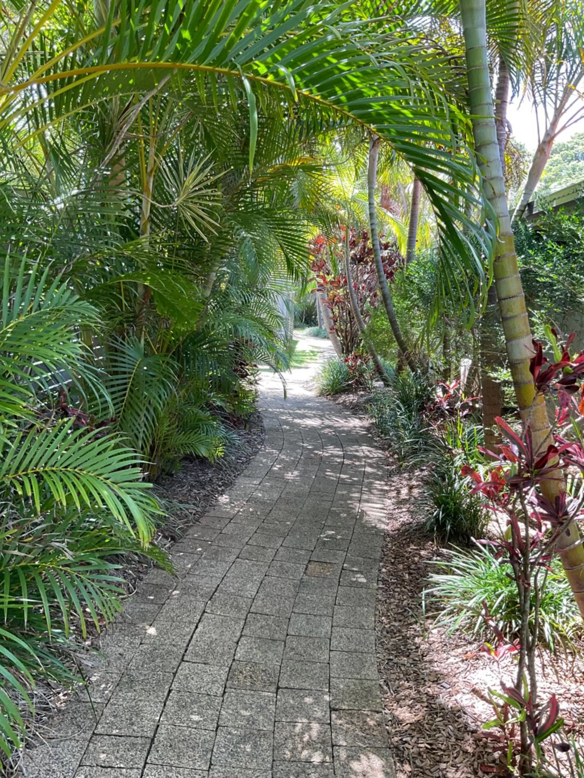 Garden in Private Suite Nautilus Beach Front Resort