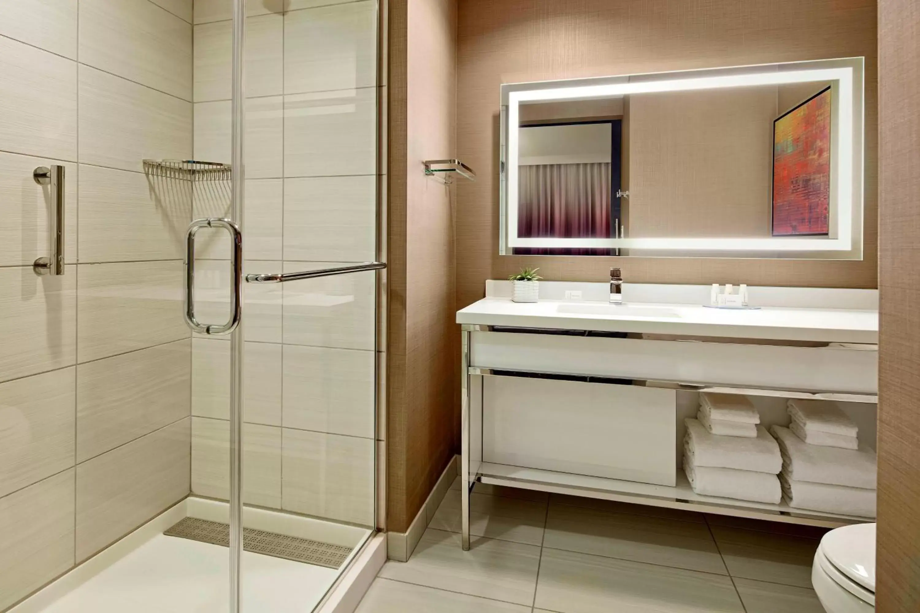 Bathroom in Residence Inn by Marriott at Anaheim Resort/Convention Center