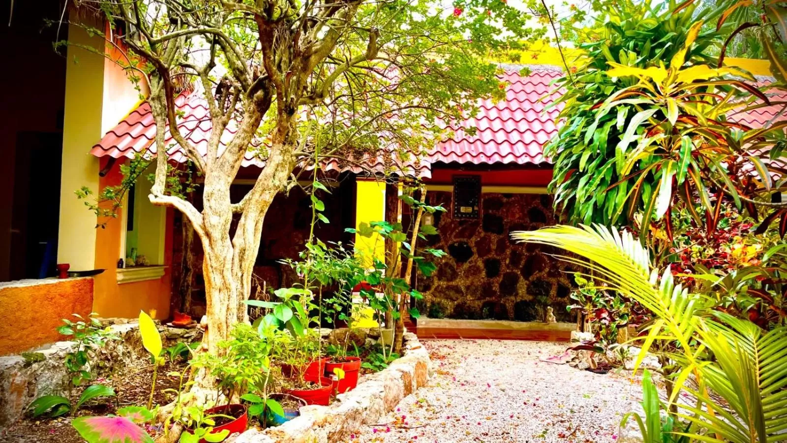 Patio in Gardenhotel Macan Ché B&B