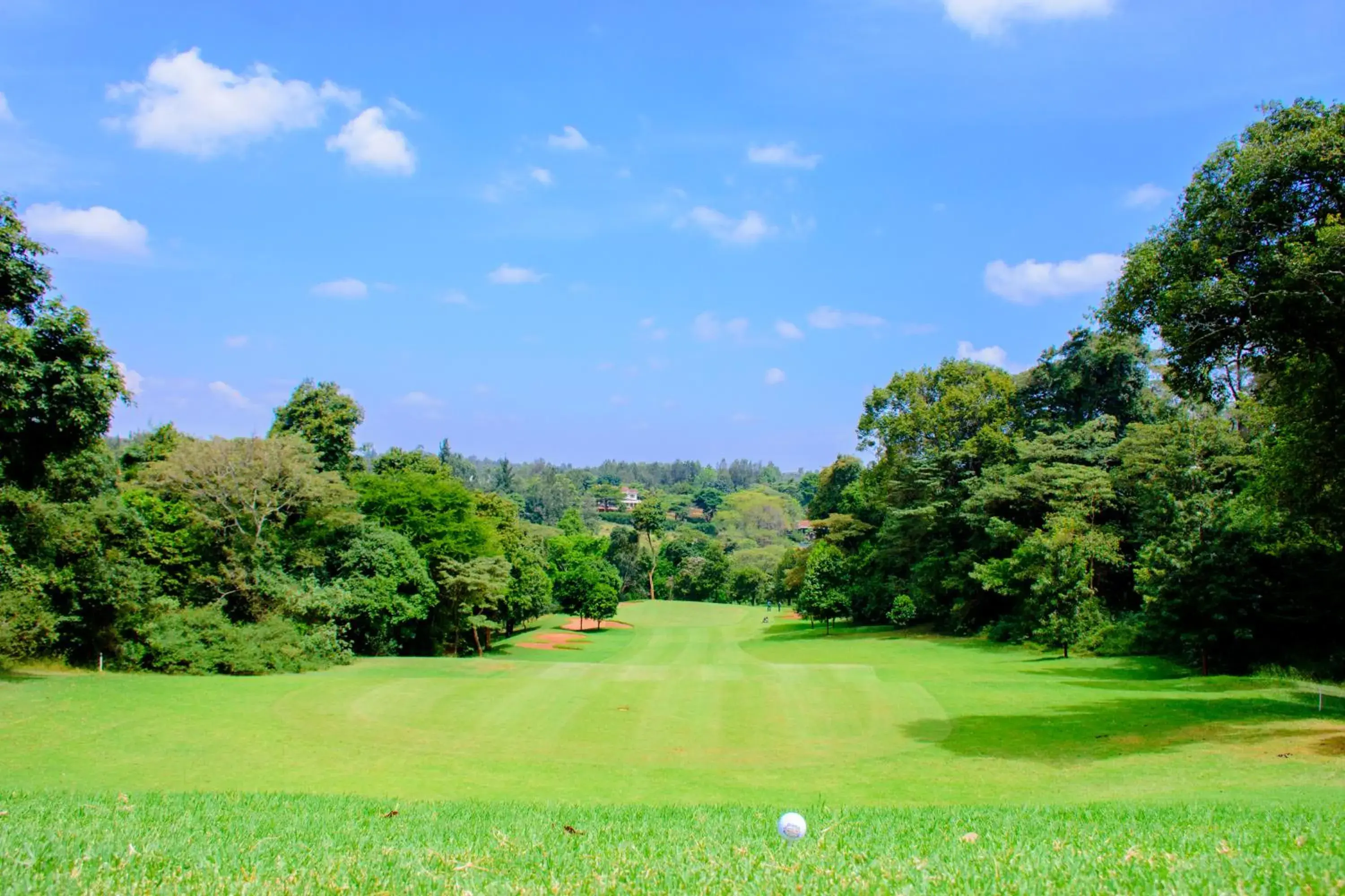 Natural landscape in Windsor Golf Hotel & Country Club