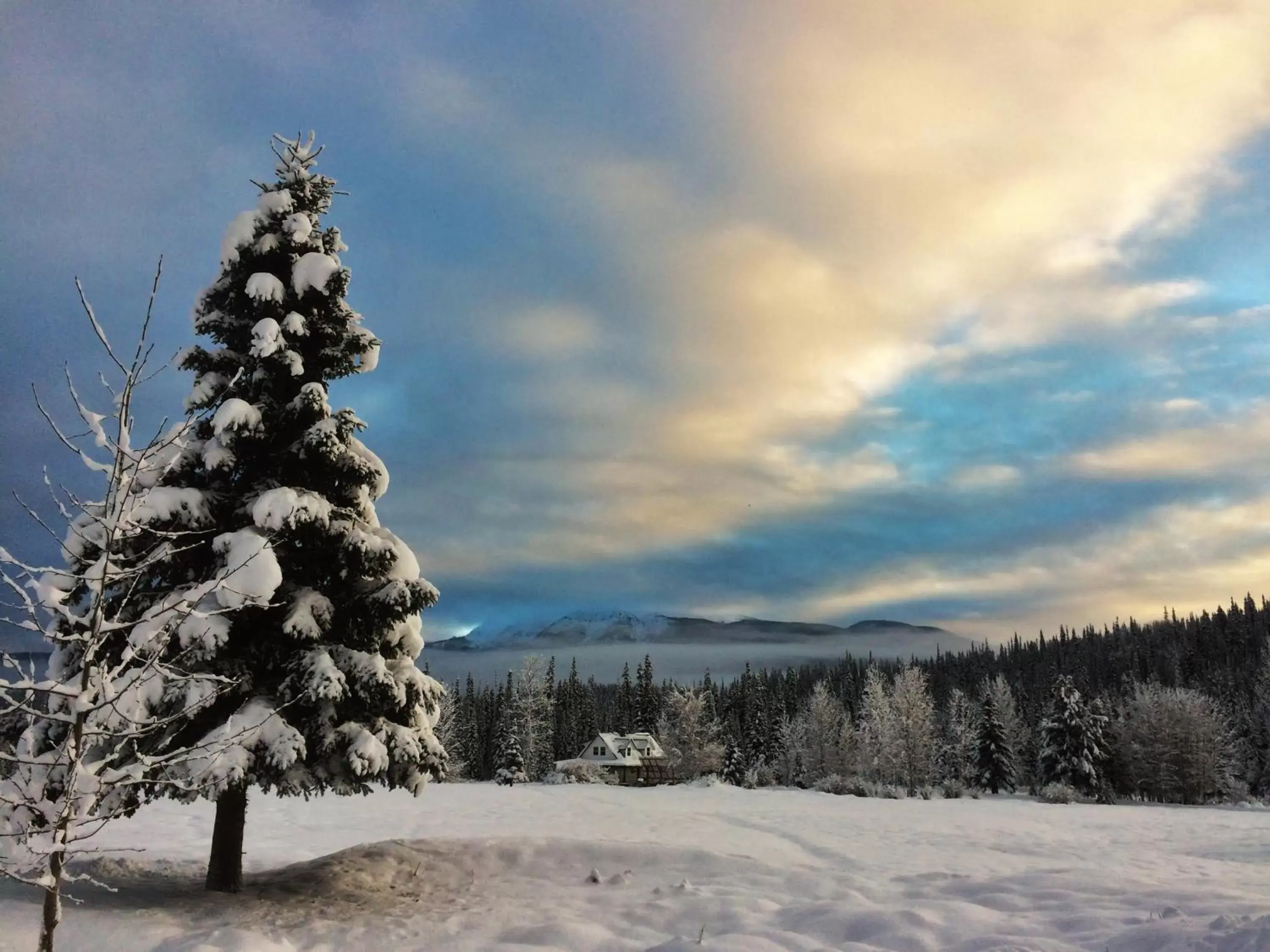 Mountain view, Winter in Rocky Ridge Resort-BC