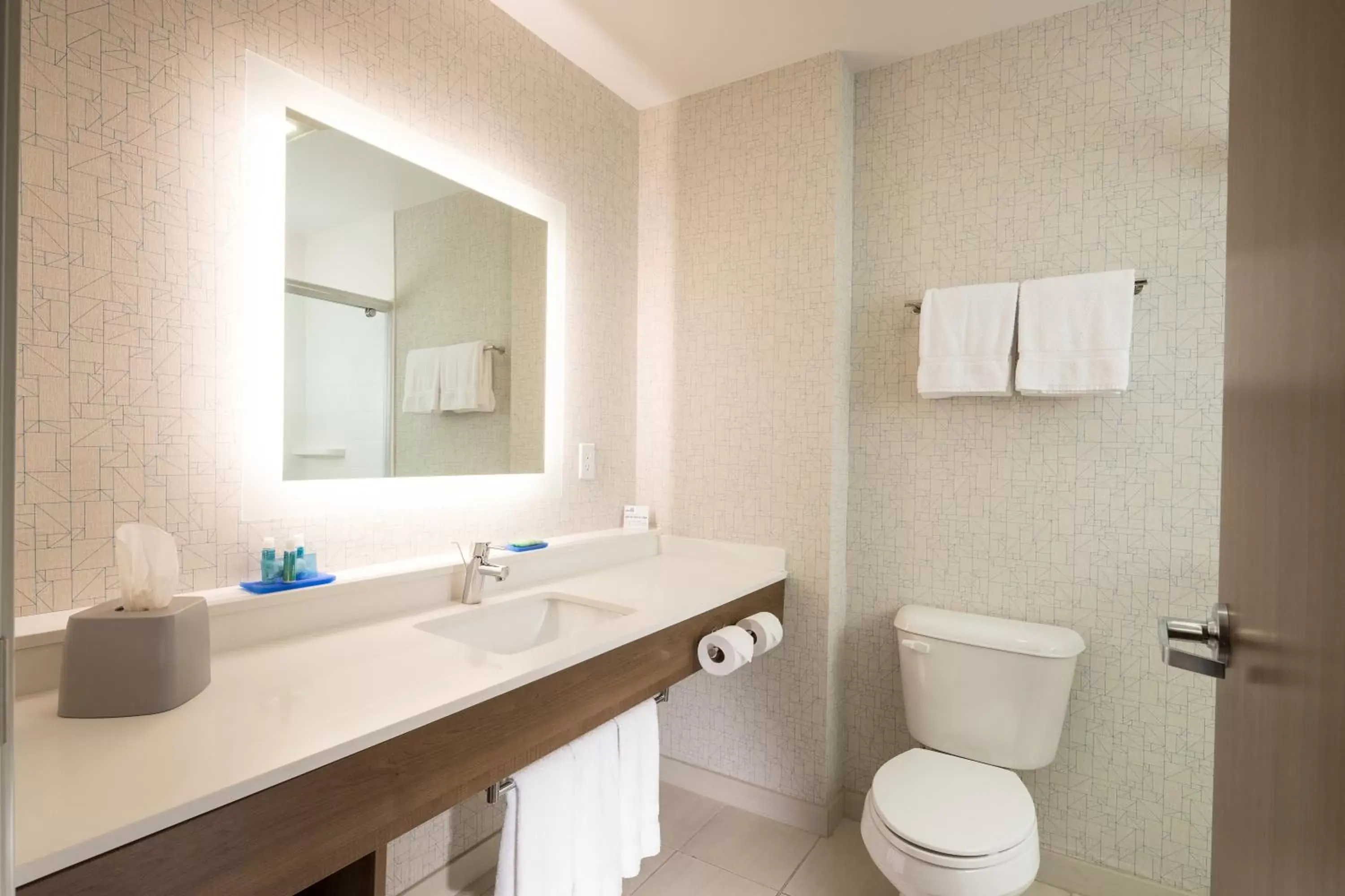 Toilet, Bathroom in Holiday Inn Express & Suites La Porte, an IHG Hotel