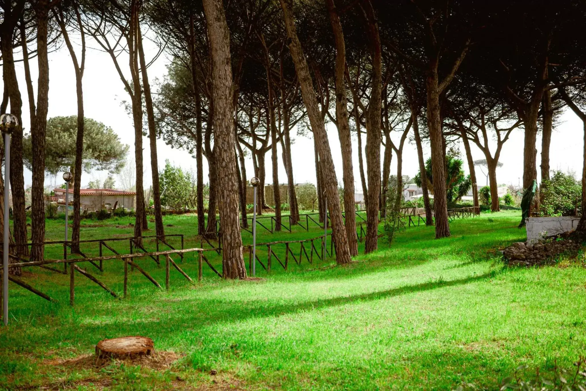 Natural landscape in Bosco Mattavona