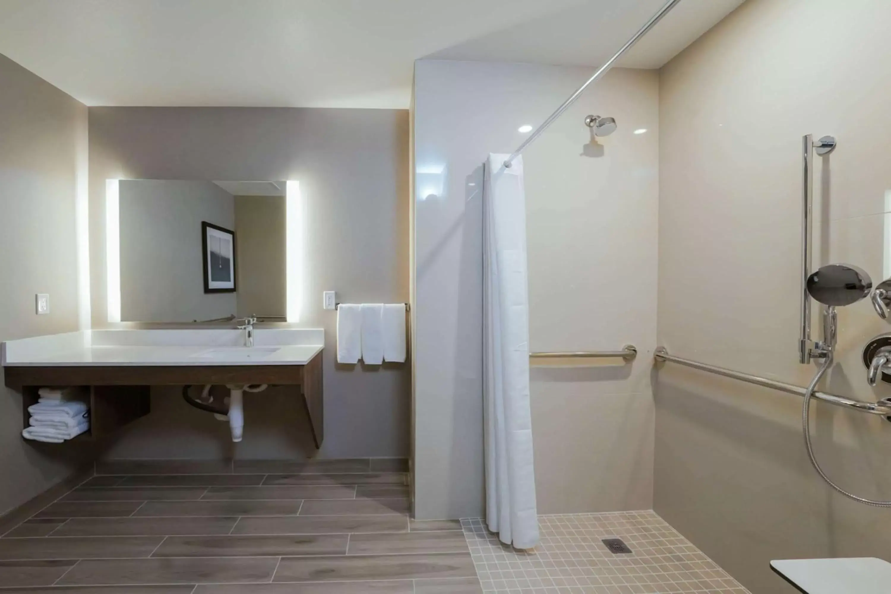 Shower, Bathroom in La Quinta Inn & Suites by Wyndham Santa Cruz