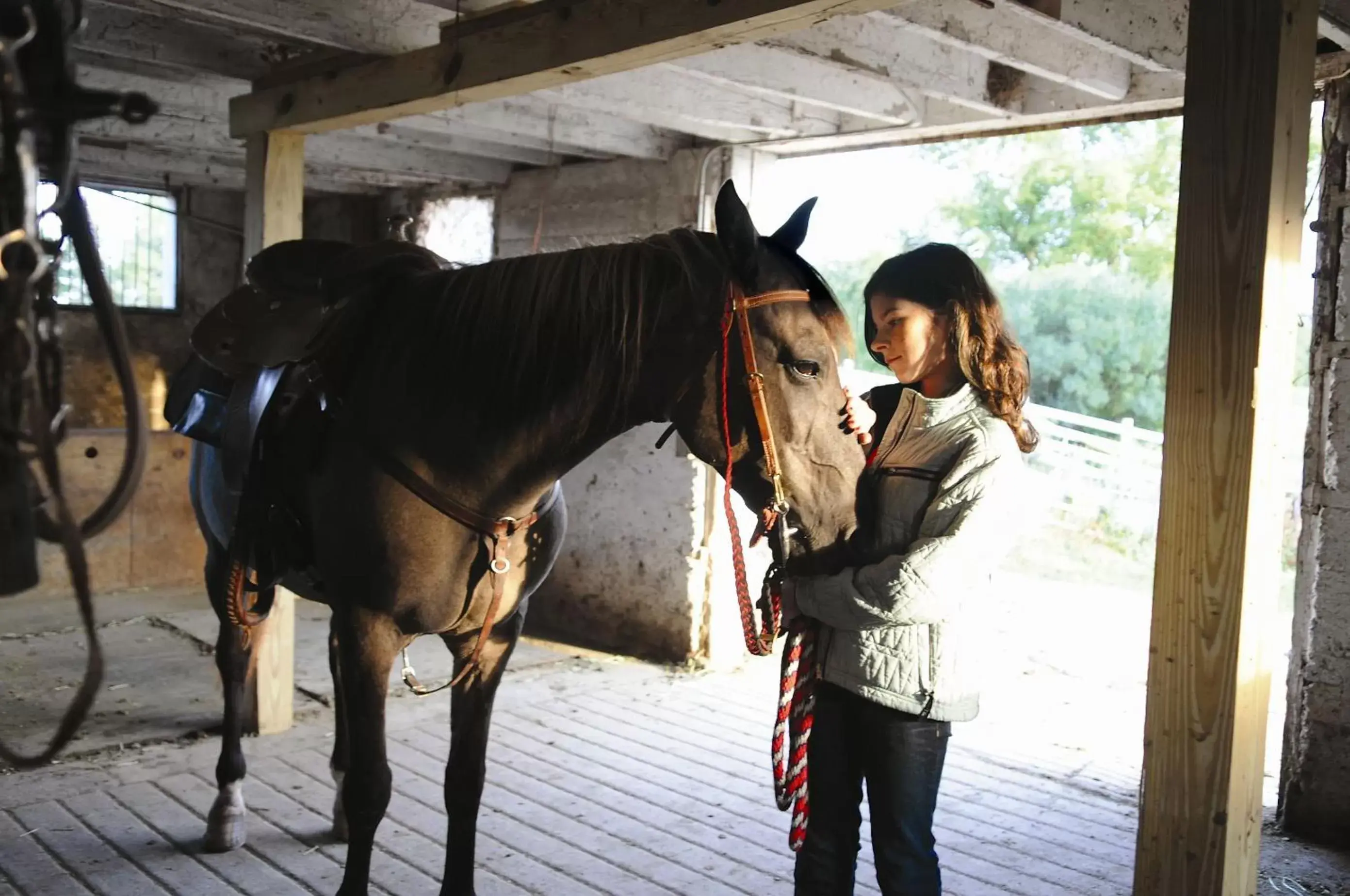 Horse-riding, Other Animals in Grand Geneva Resort and Spa