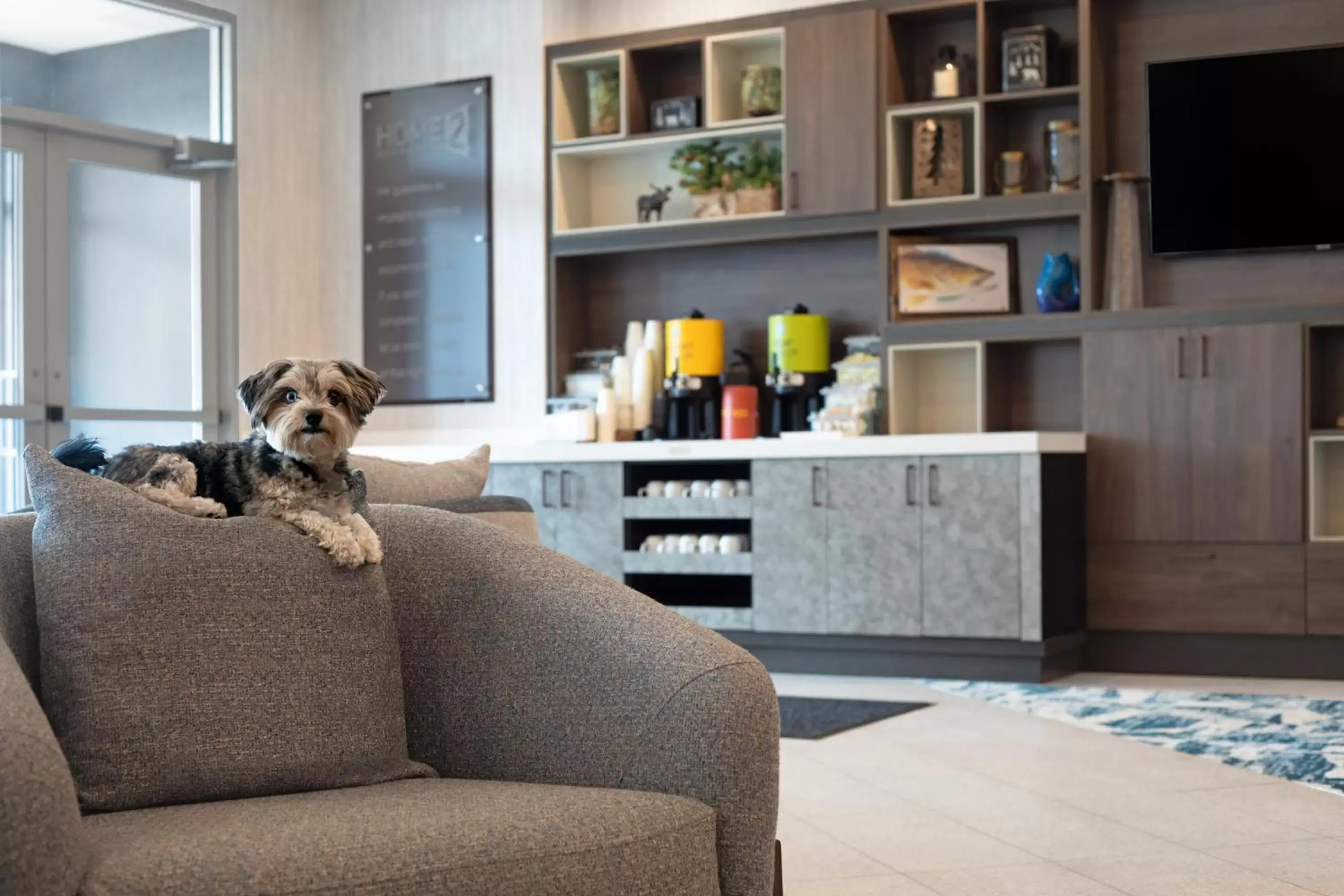 Lobby or reception in Home2 Suites By Hilton Huntsville Lobby or reception in Home2 Suites By Hilton Huntsville