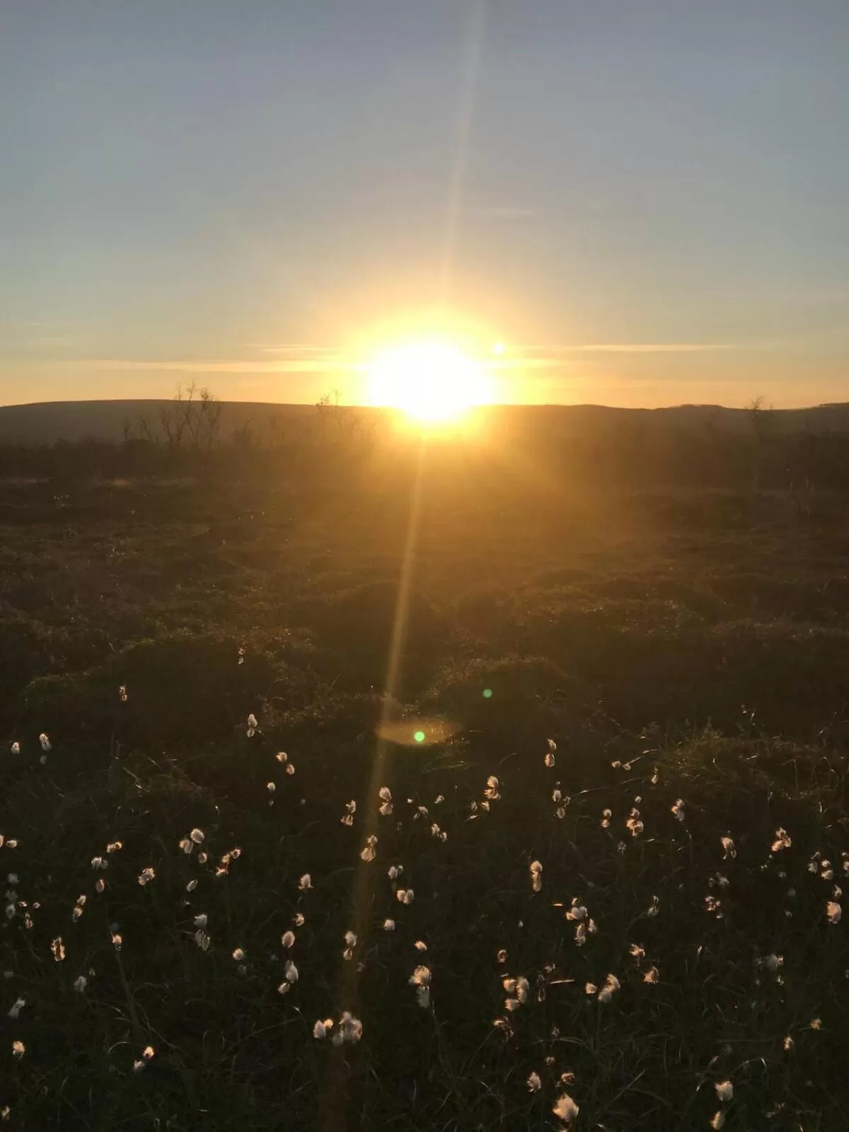 Natural landscape in Jakobselvkaia