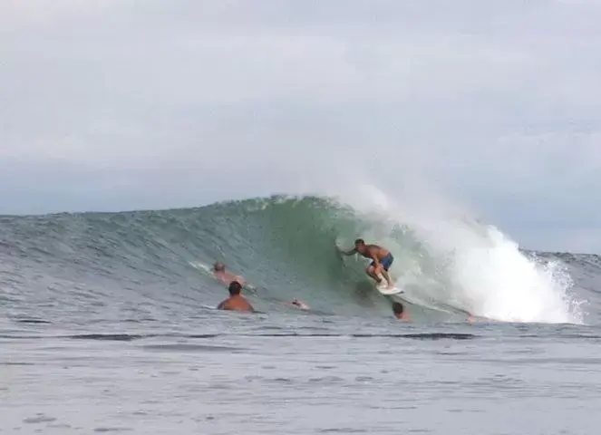 Sports, Windsurfing in Hotel Beachfront Vista Hermosa