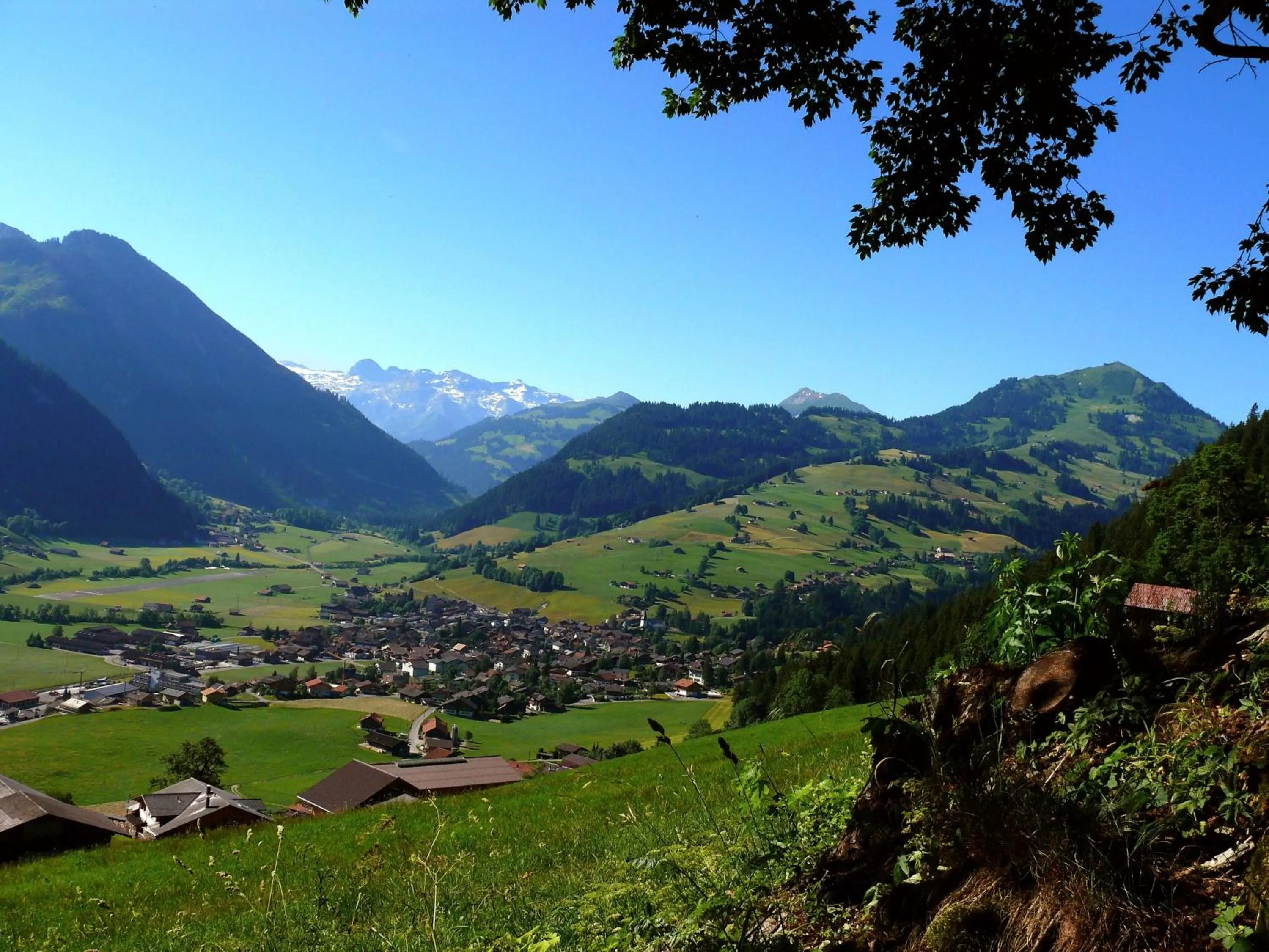 Area and facilities in Sonnegg Hotel