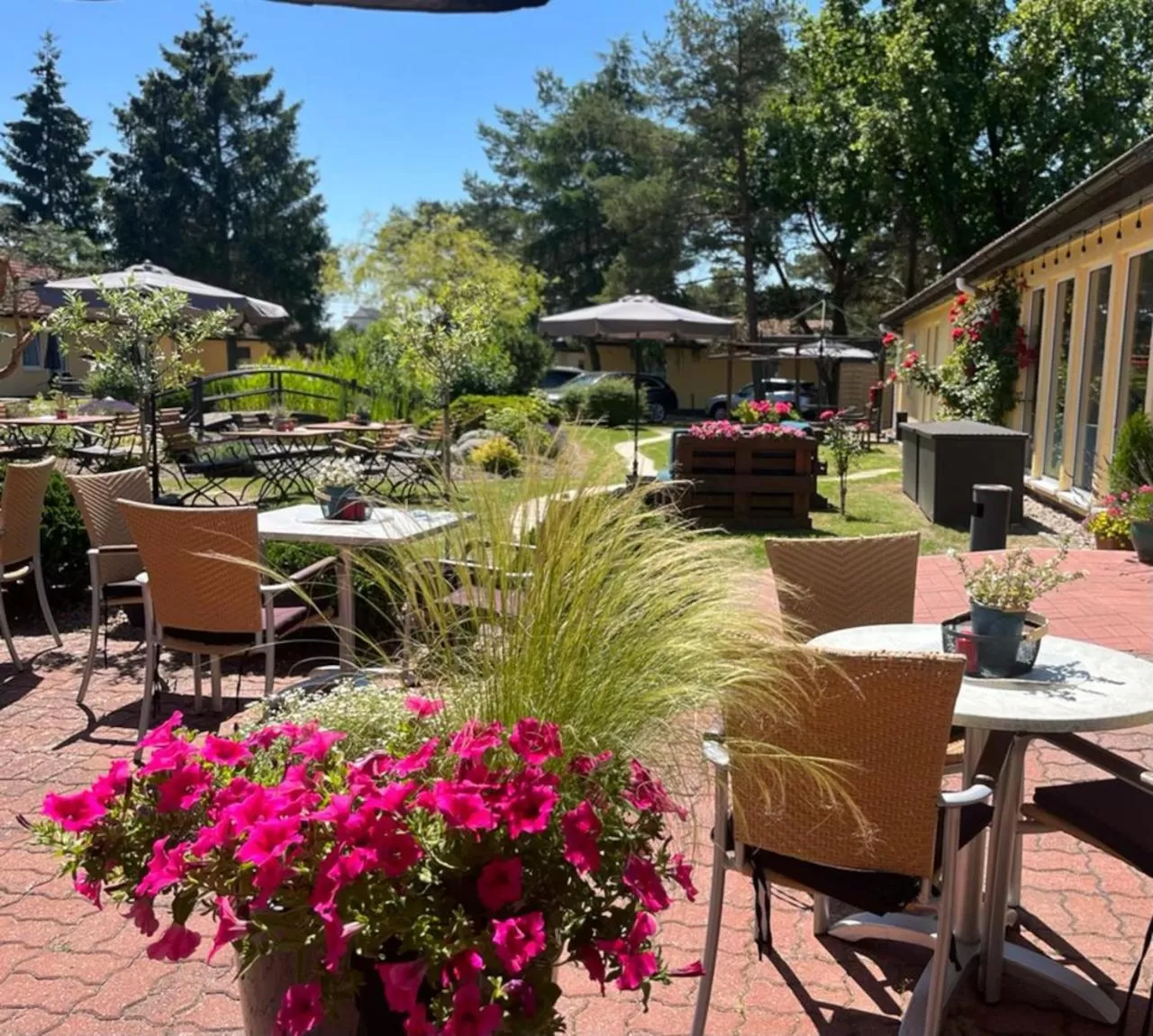 Patio in Hotel Pommerscher Hof