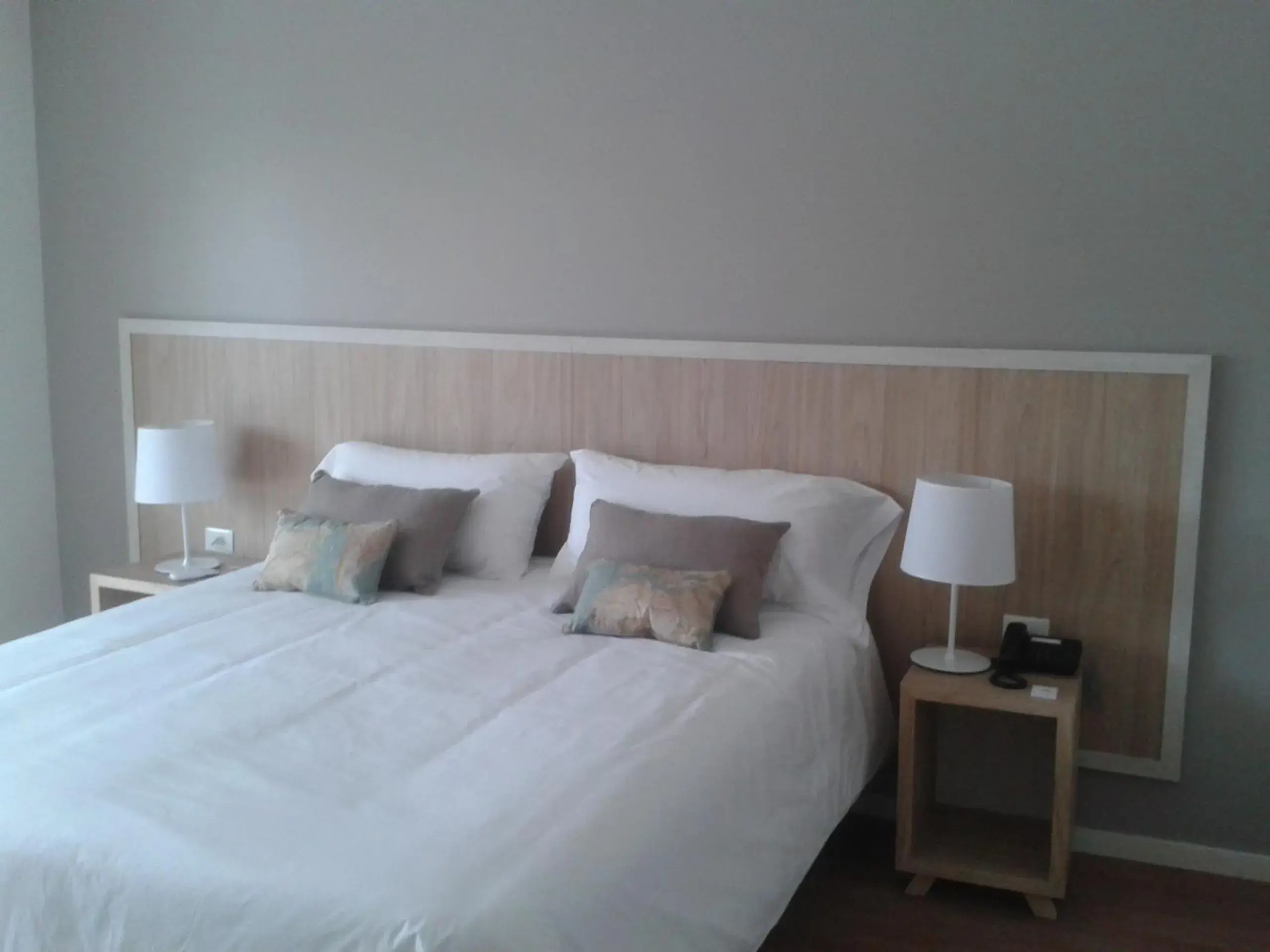 Superior Double Room in Hotel Comahue Business