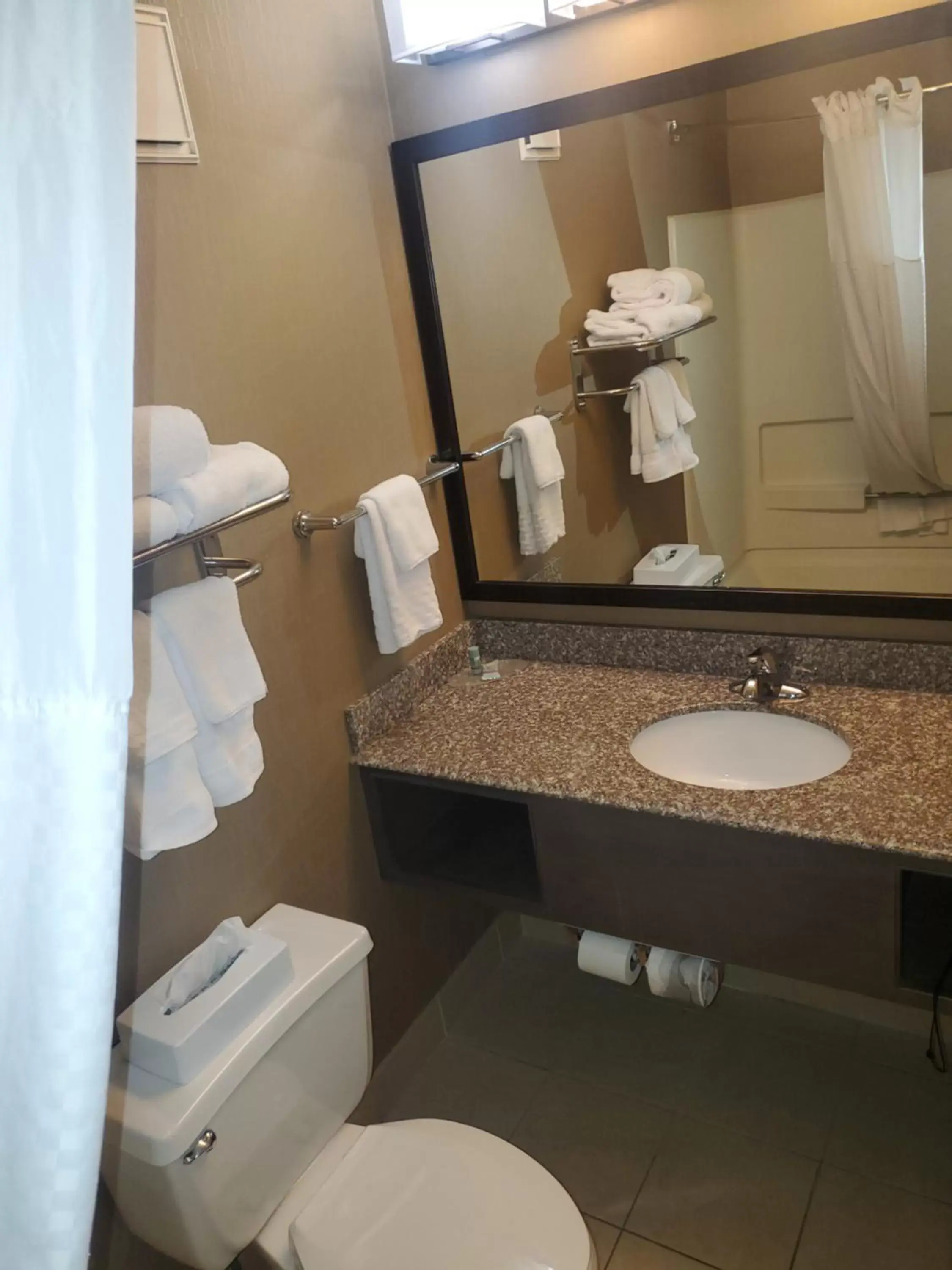 Bathroom in Best Western Maple City Inn