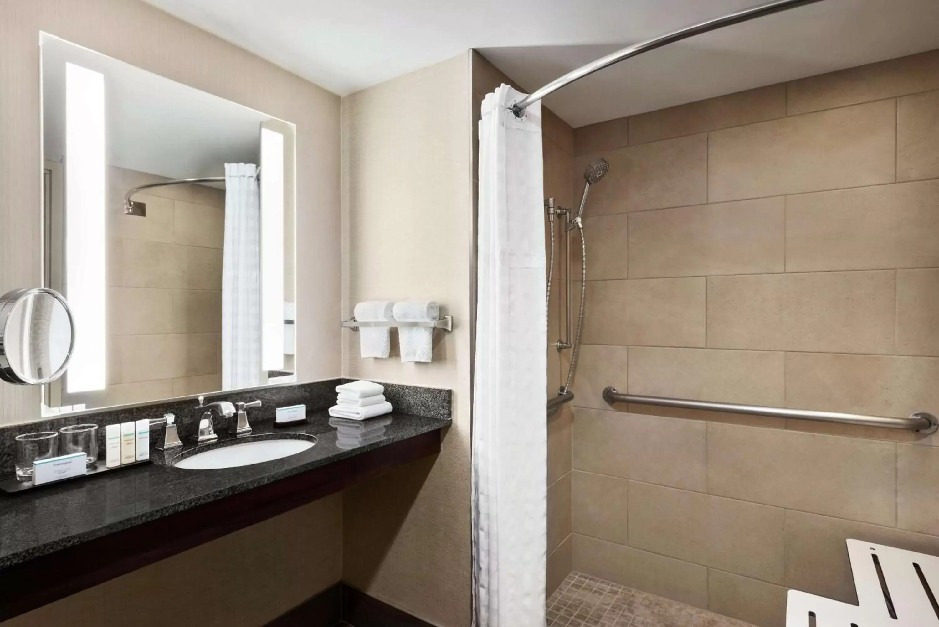 Bathroom in Embassy Suites by Hilton Columbus Dublin